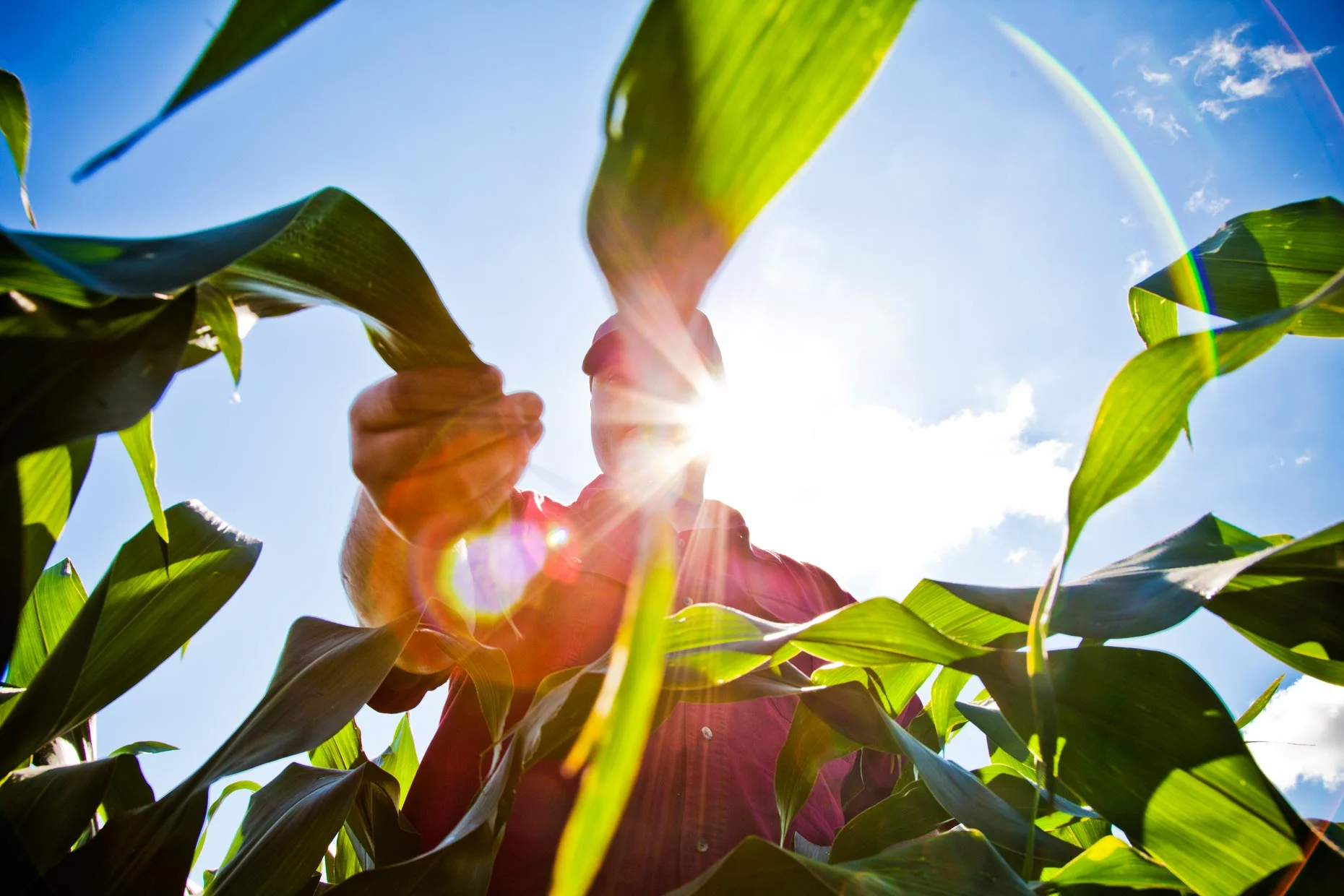 Web_OntheFarm14.jpg