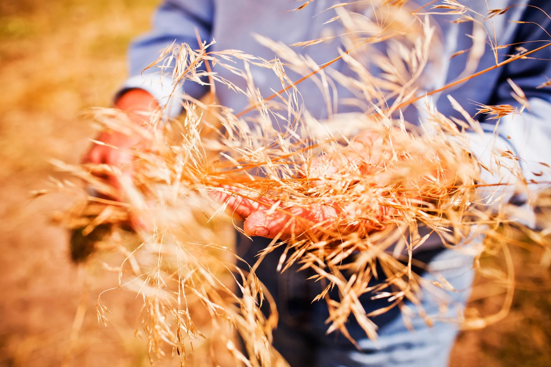 Web_OntheFarm16.jpg
