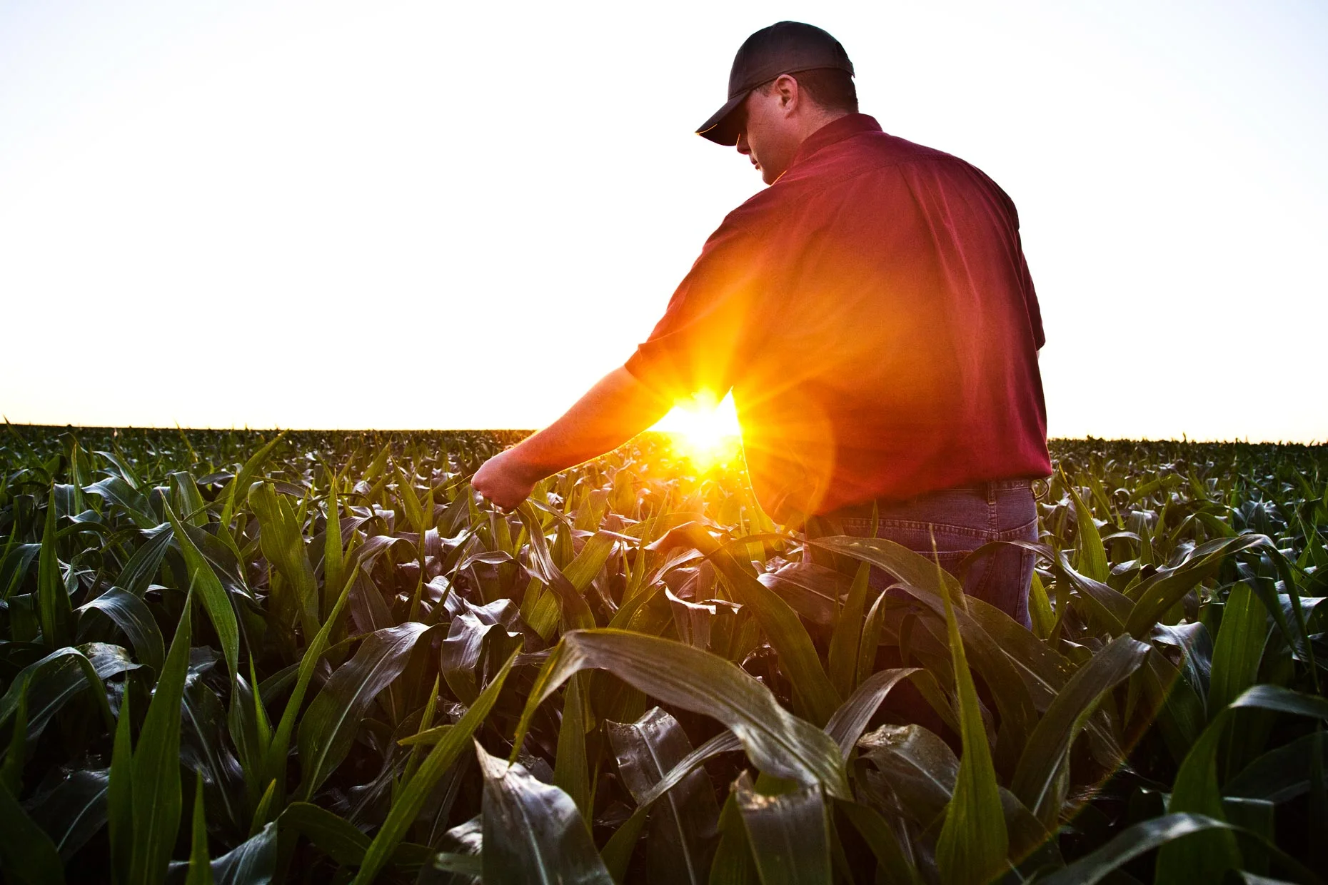 Web_OntheFarm18.jpg