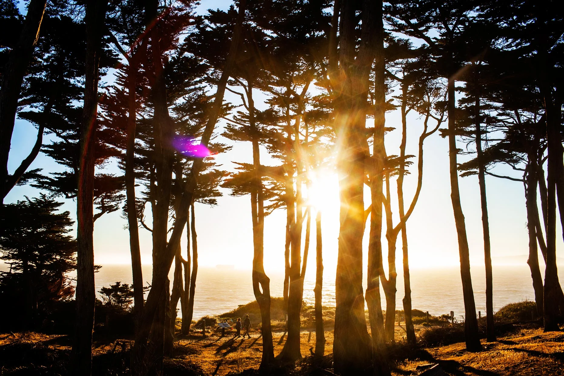 Web_Sutro_Girlfriends_2.jpg
