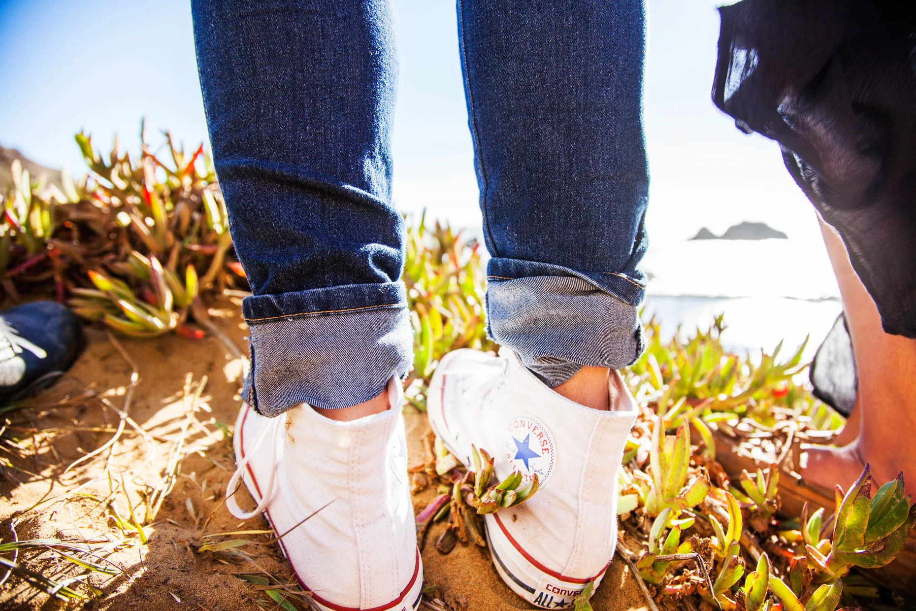 Web_Sutro_Girlfriends_6.jpg
