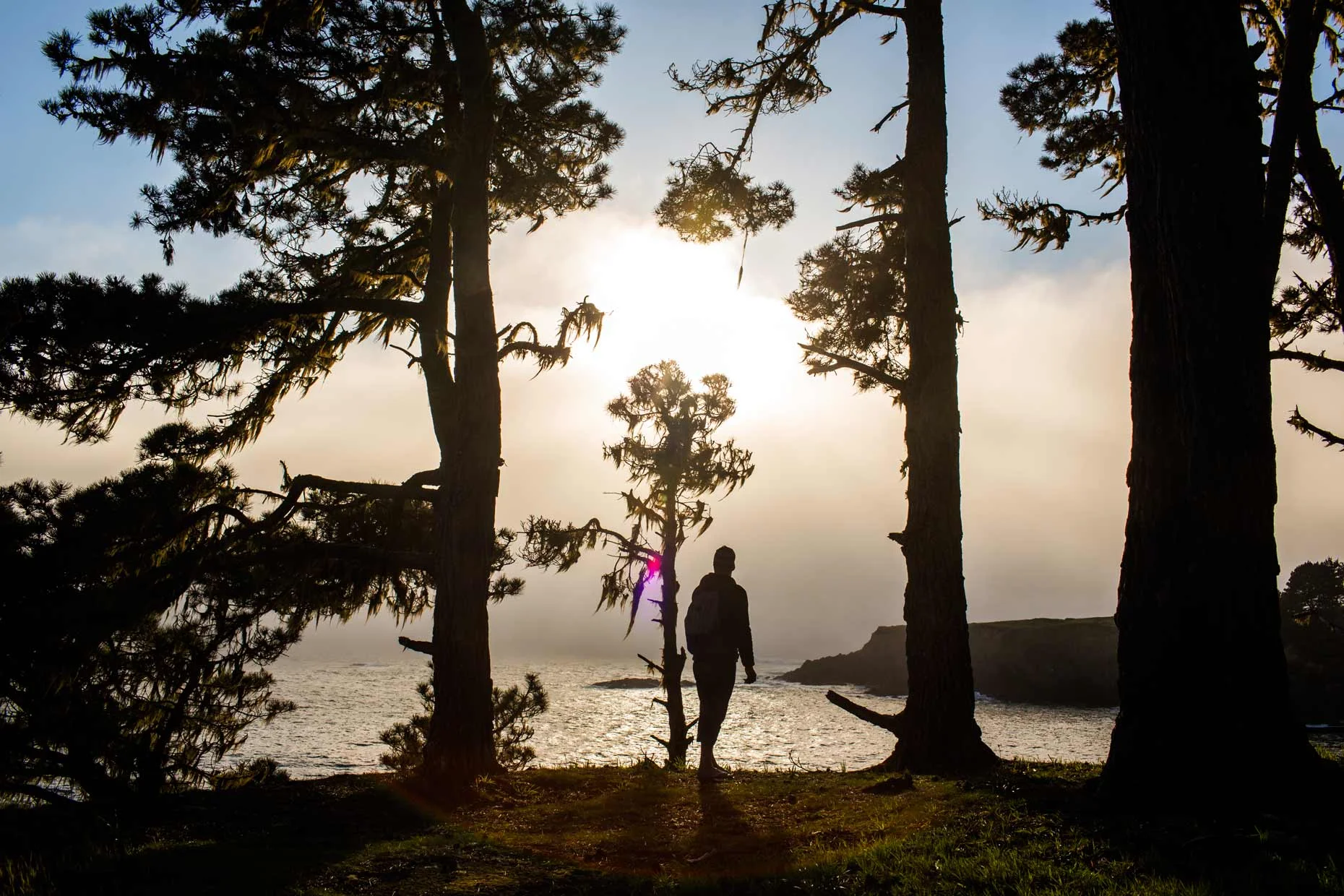 Web_Oregon_Select_4.jpg