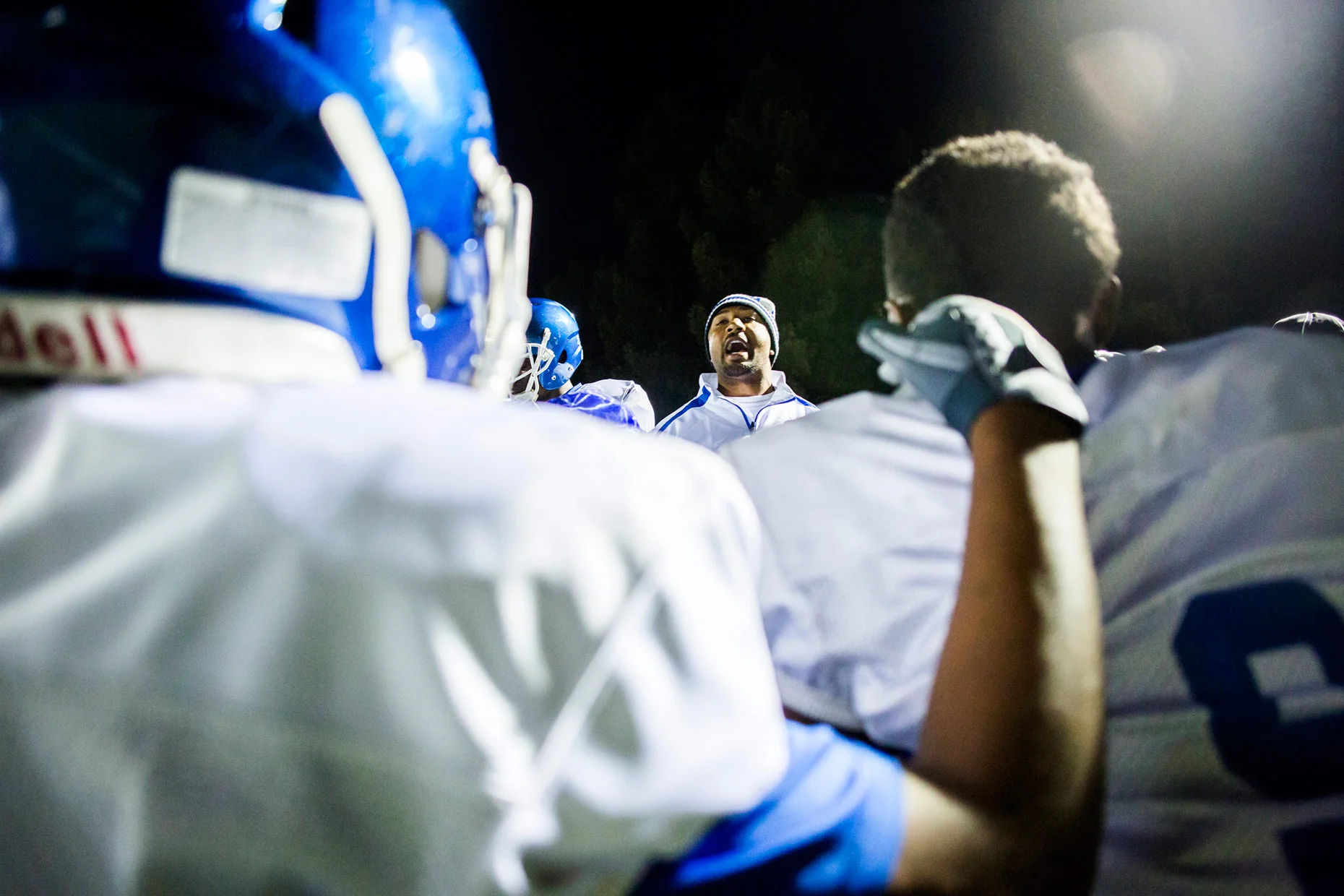 web_wildcat_final_28.jpg