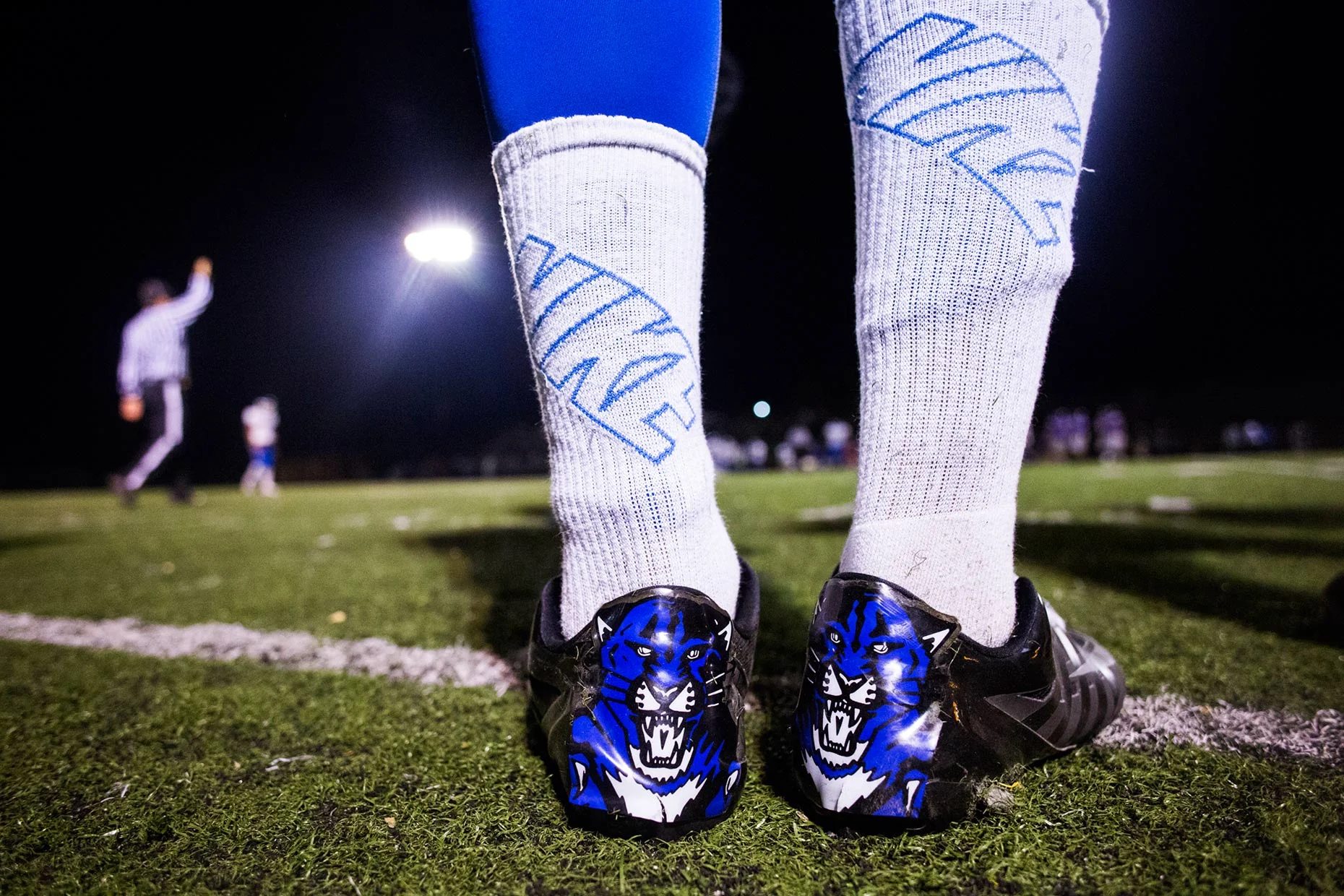 web_wildcat_final_31.jpg