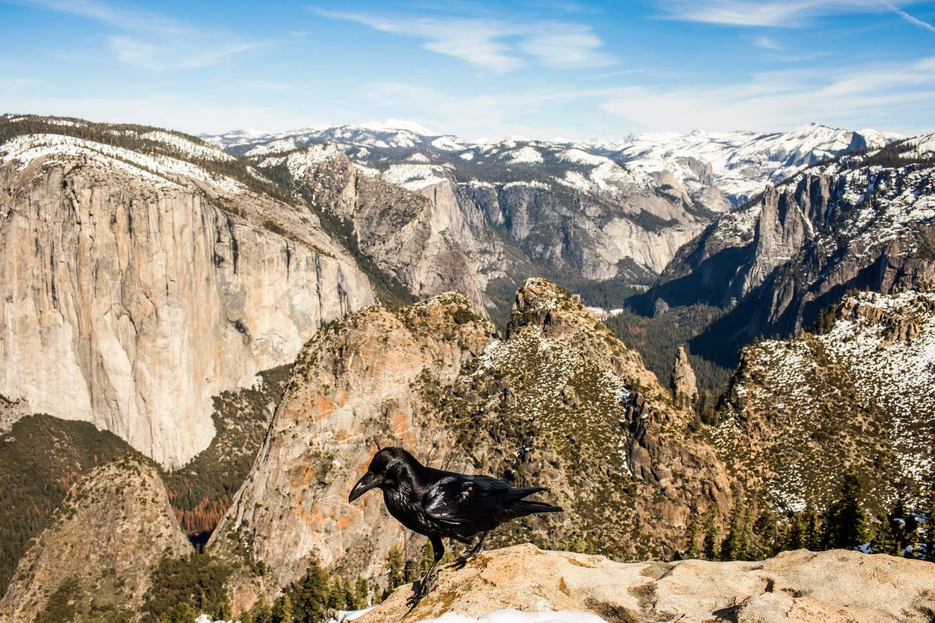 Yosemite_Web_12.JPG