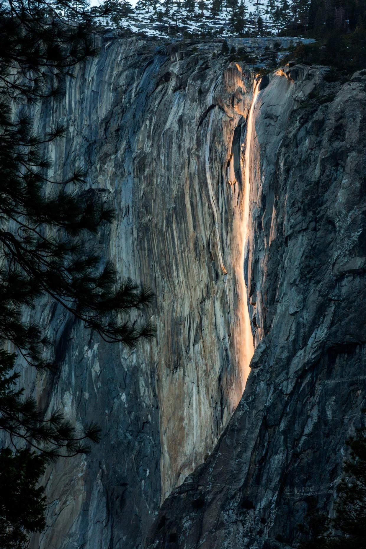 Yosemite_Web_13.JPG