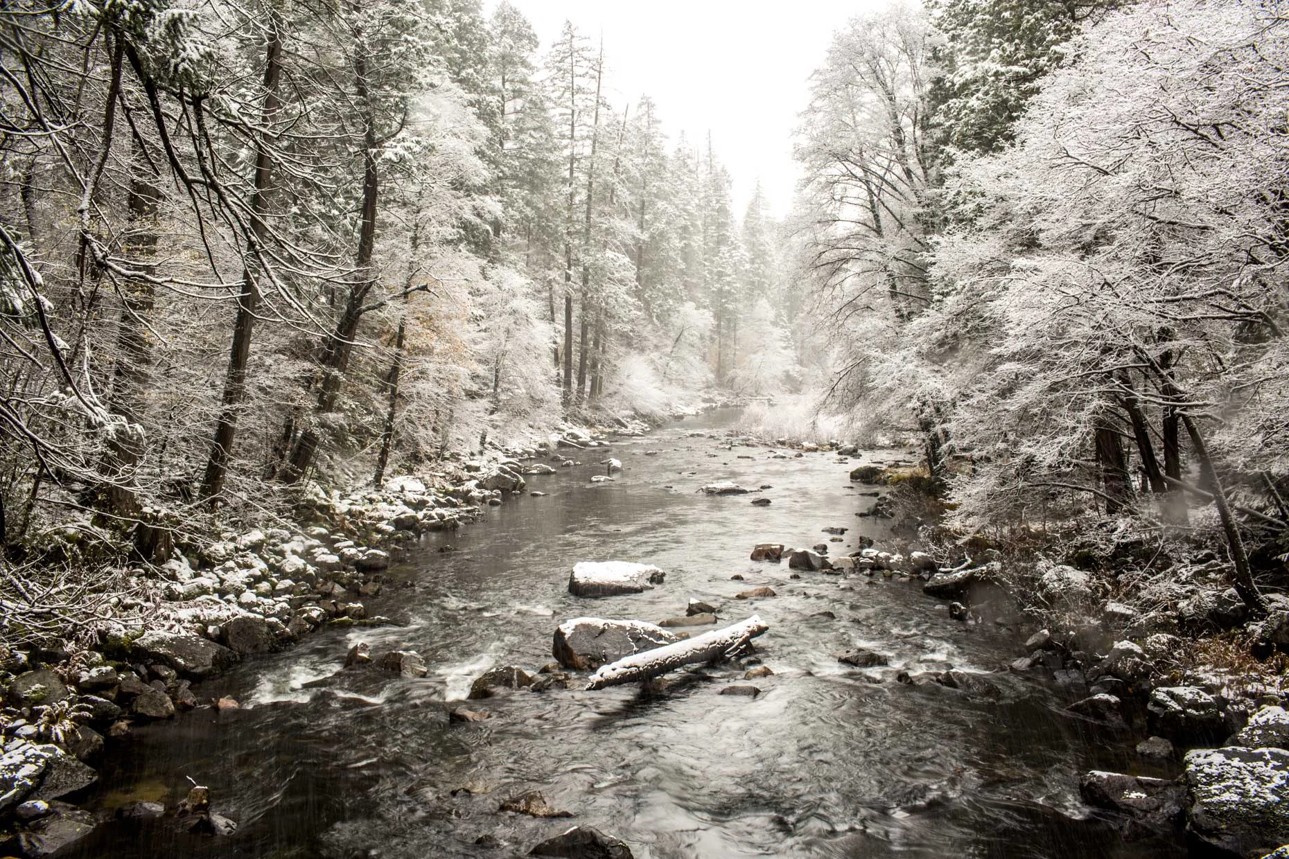 Yosemite_Web_33.JPG
