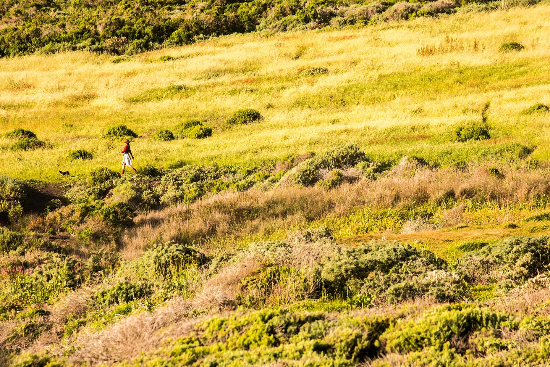 Big-Sur-Web_2.jpg