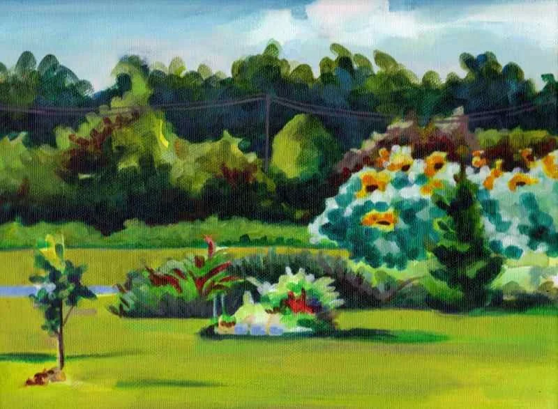 Sunflowers, Apple Farm