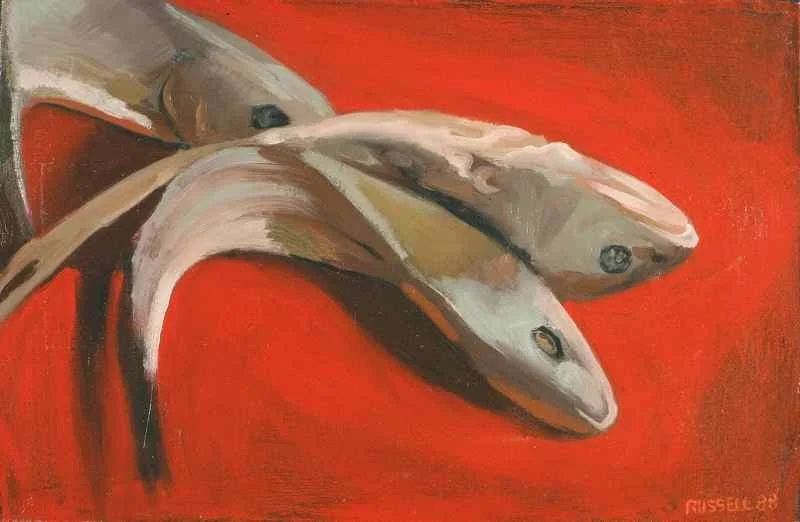 Dead Fish