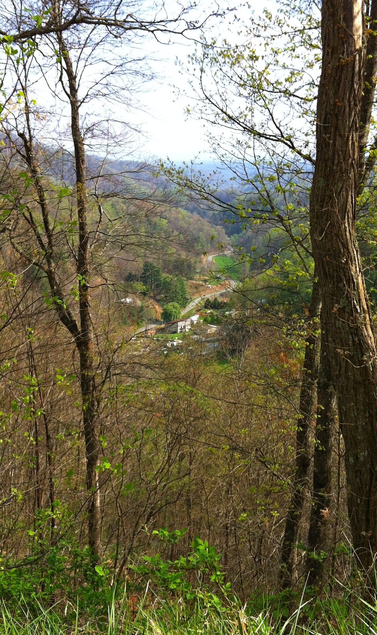 Image 33.jpg
