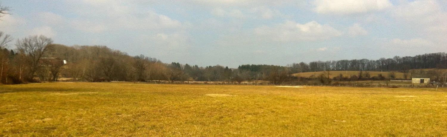 The Stroud Preserve, from the parking area looking north at 11:25 AM. 
