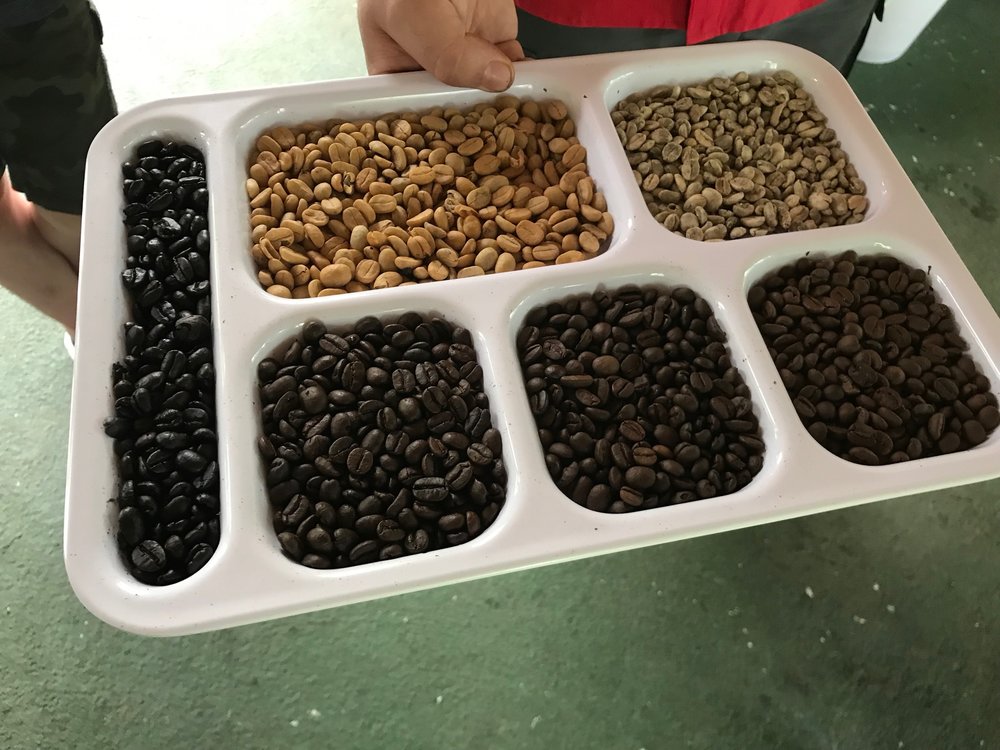  Different shades of freshly roasted coffee. 