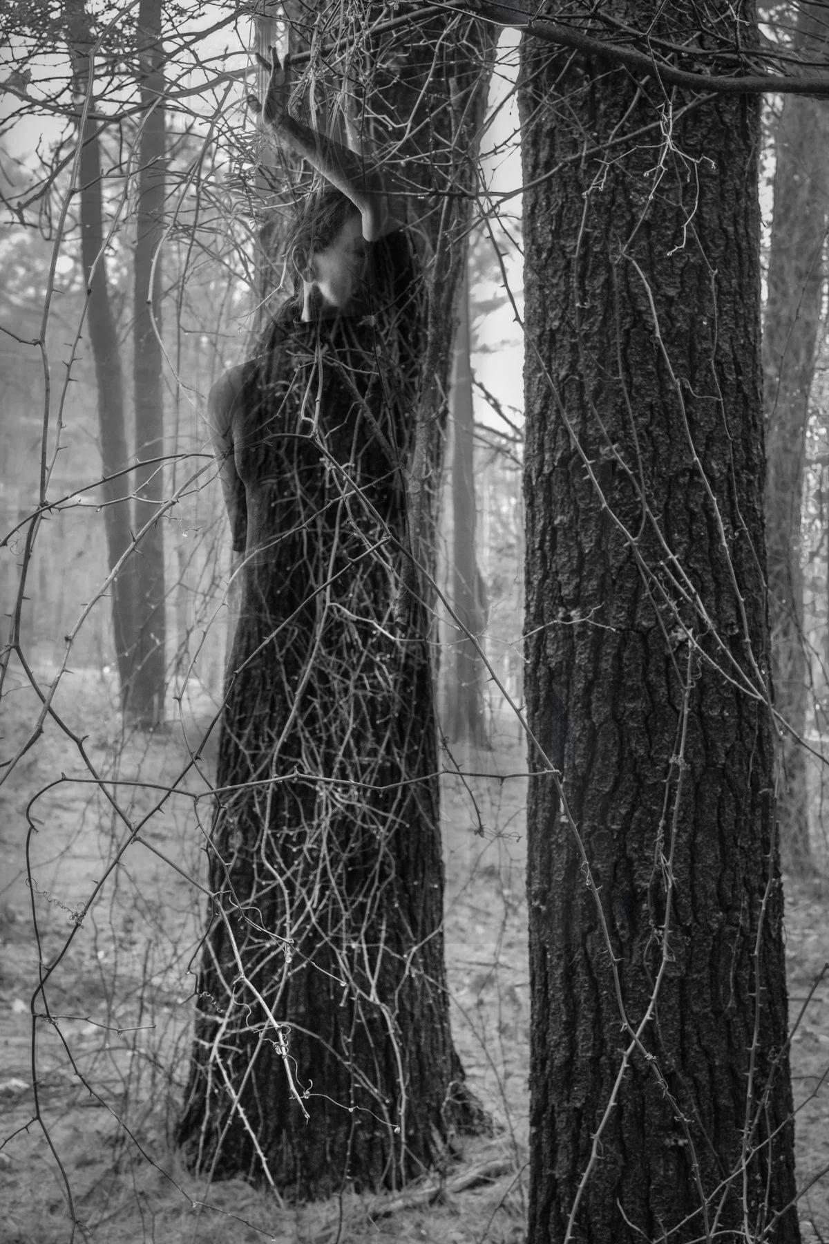 inside out darker.jpg