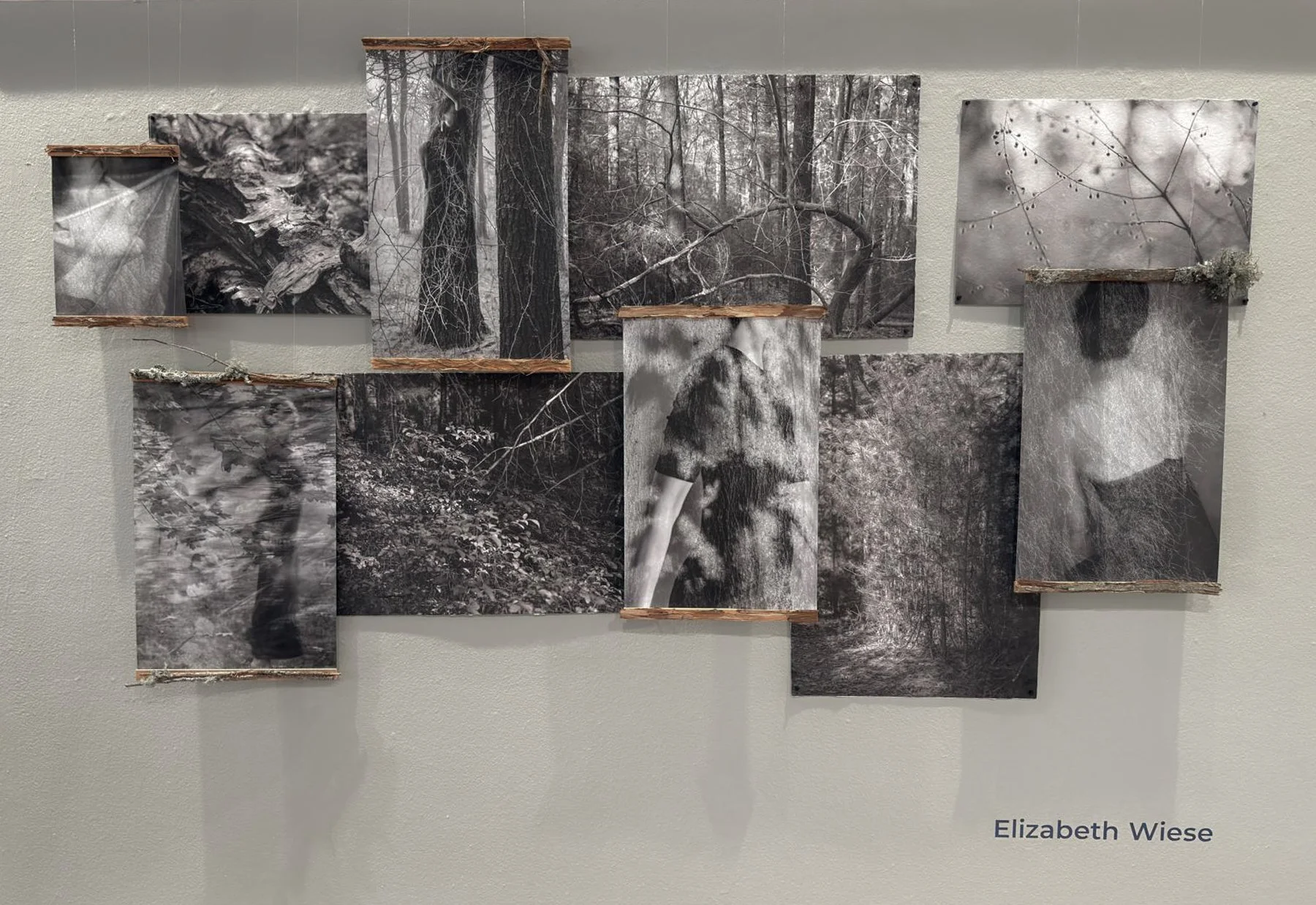exhibition wall 3 for website.jpg