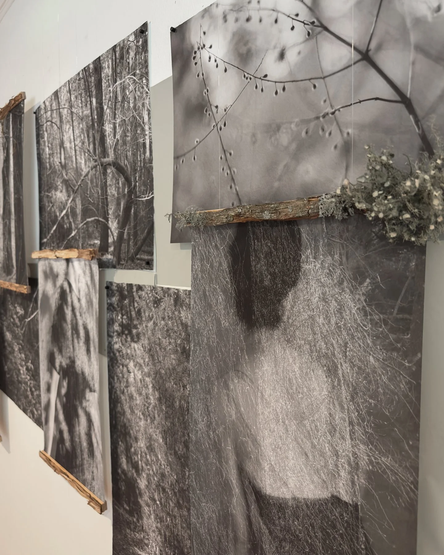 exhibition wall 1 for website.jpg