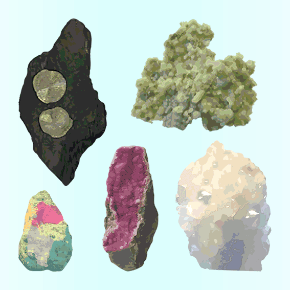 CChorus_NHM_MassDisplaysAPP_DTL.gif