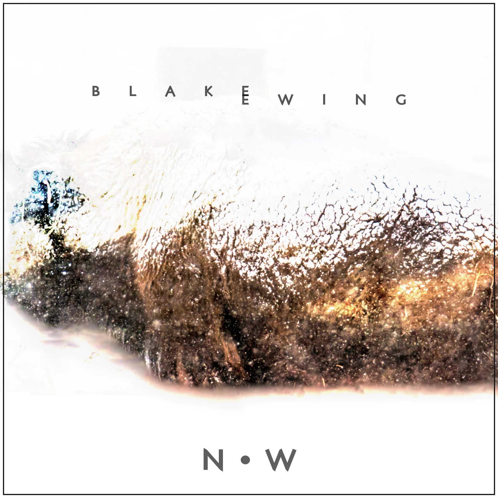 N•W.jpg