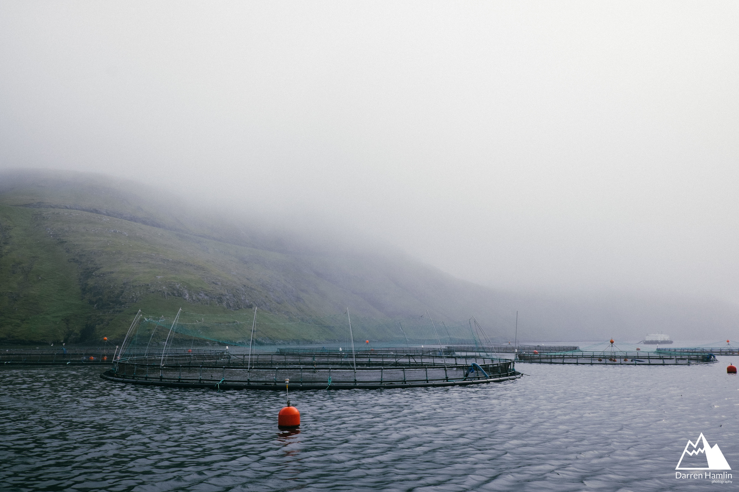 Salmon Farm