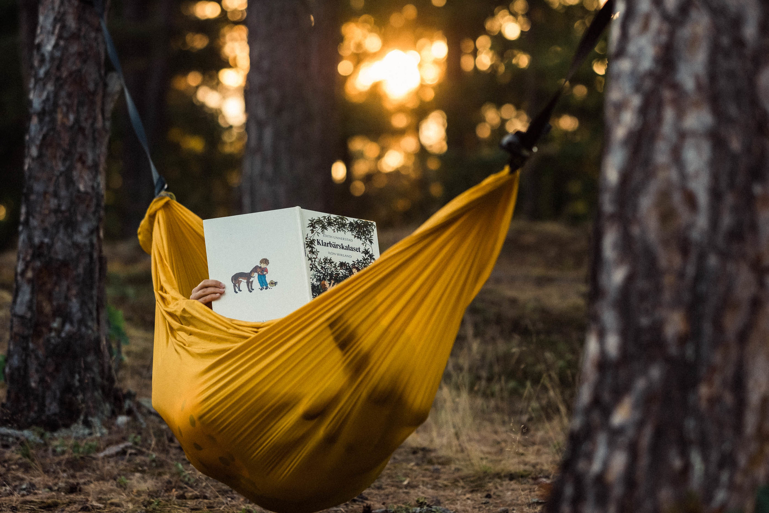 HAMMOCK