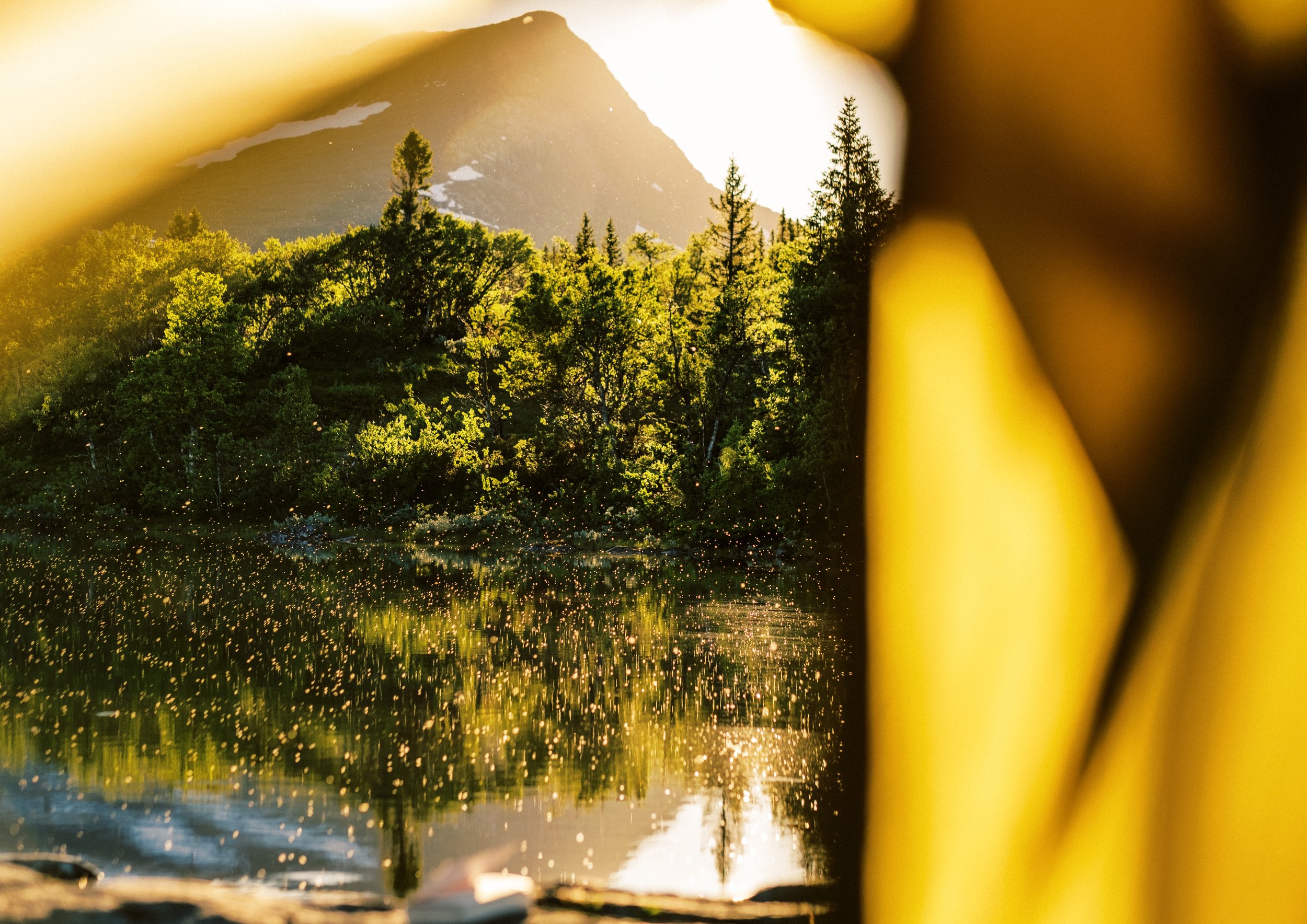 TENT VIEW