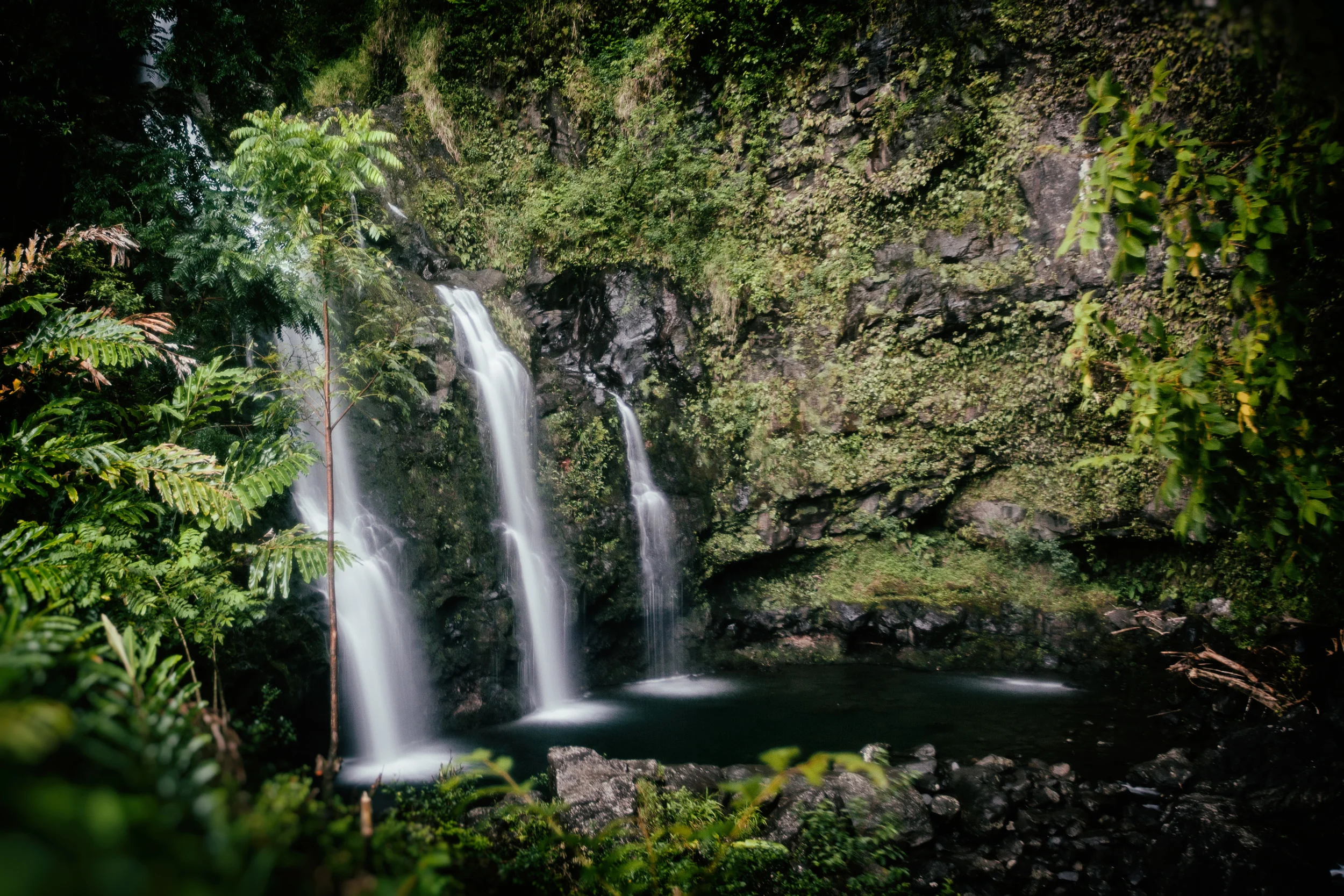 Hawaii_0807_7885-Edit.jpg