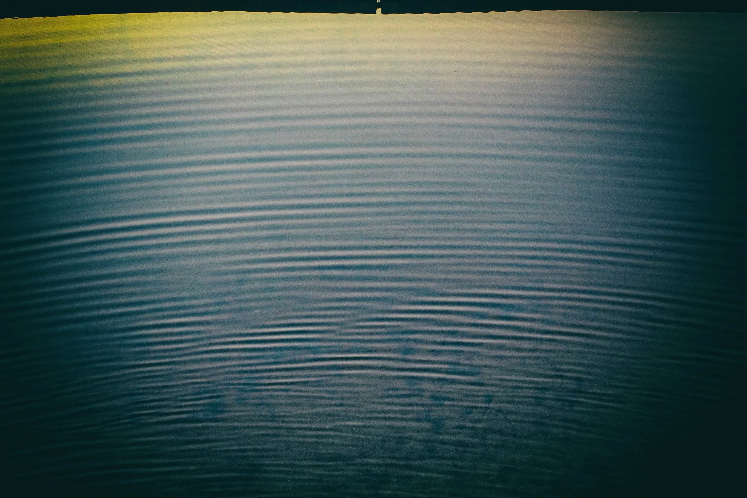 Cape Cod 2018 tif-6.jpg