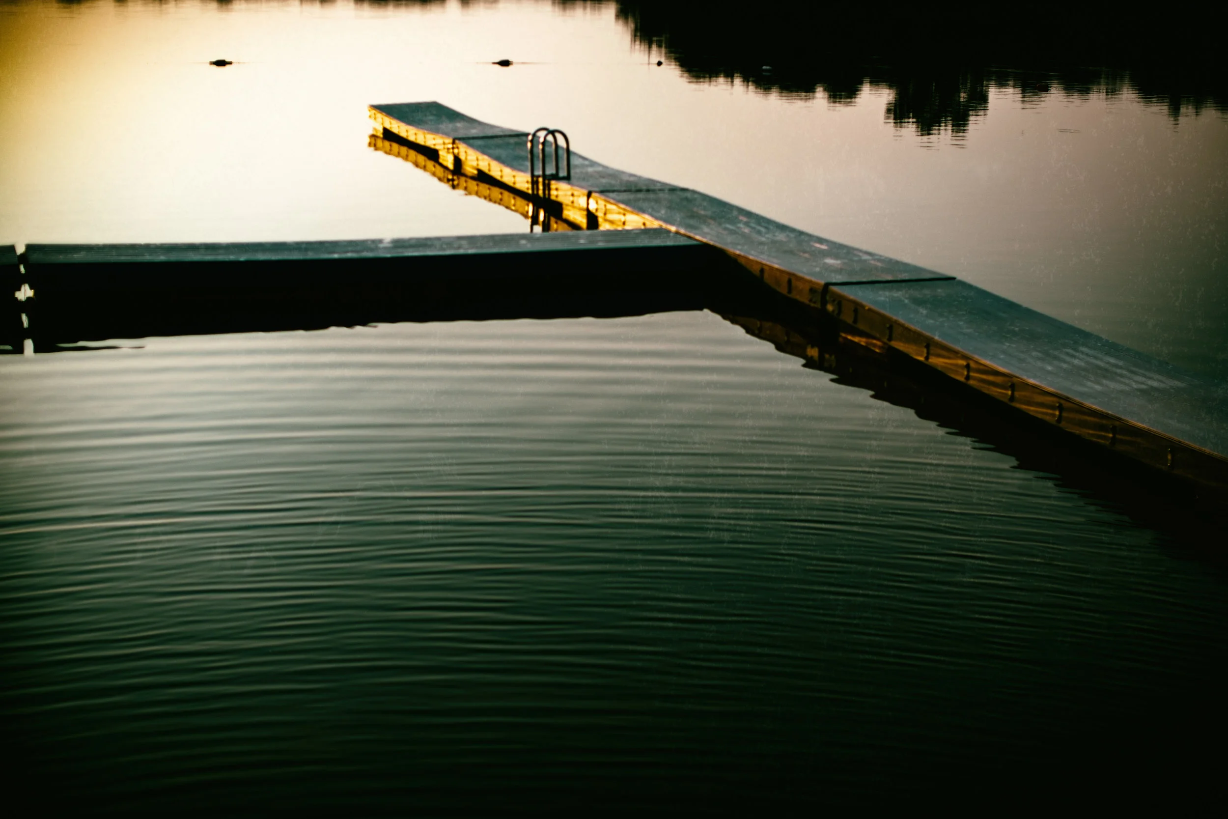 Cape Cod 2018 tif-8.jpg