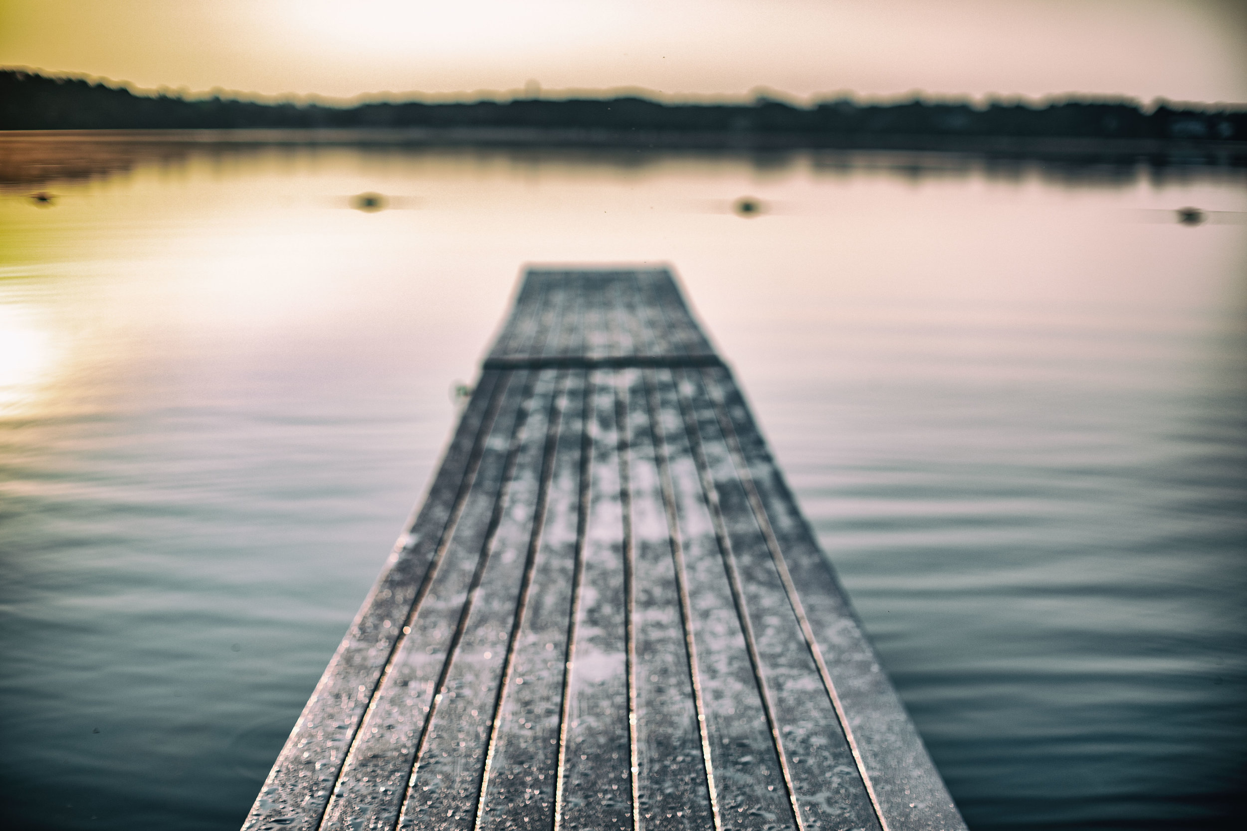 Cape Cod 2018 tif-11.jpg