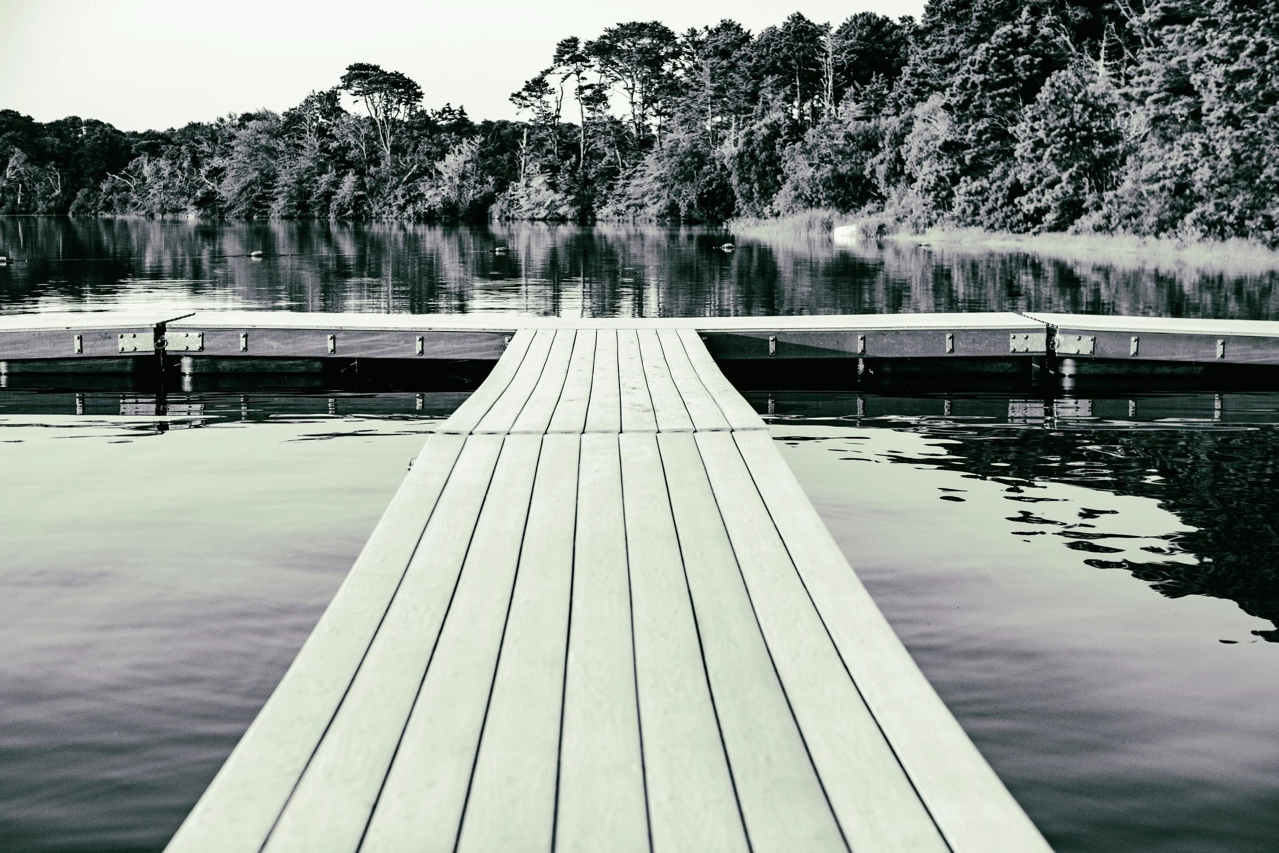 Cape Cod 2018 tif-12.jpg