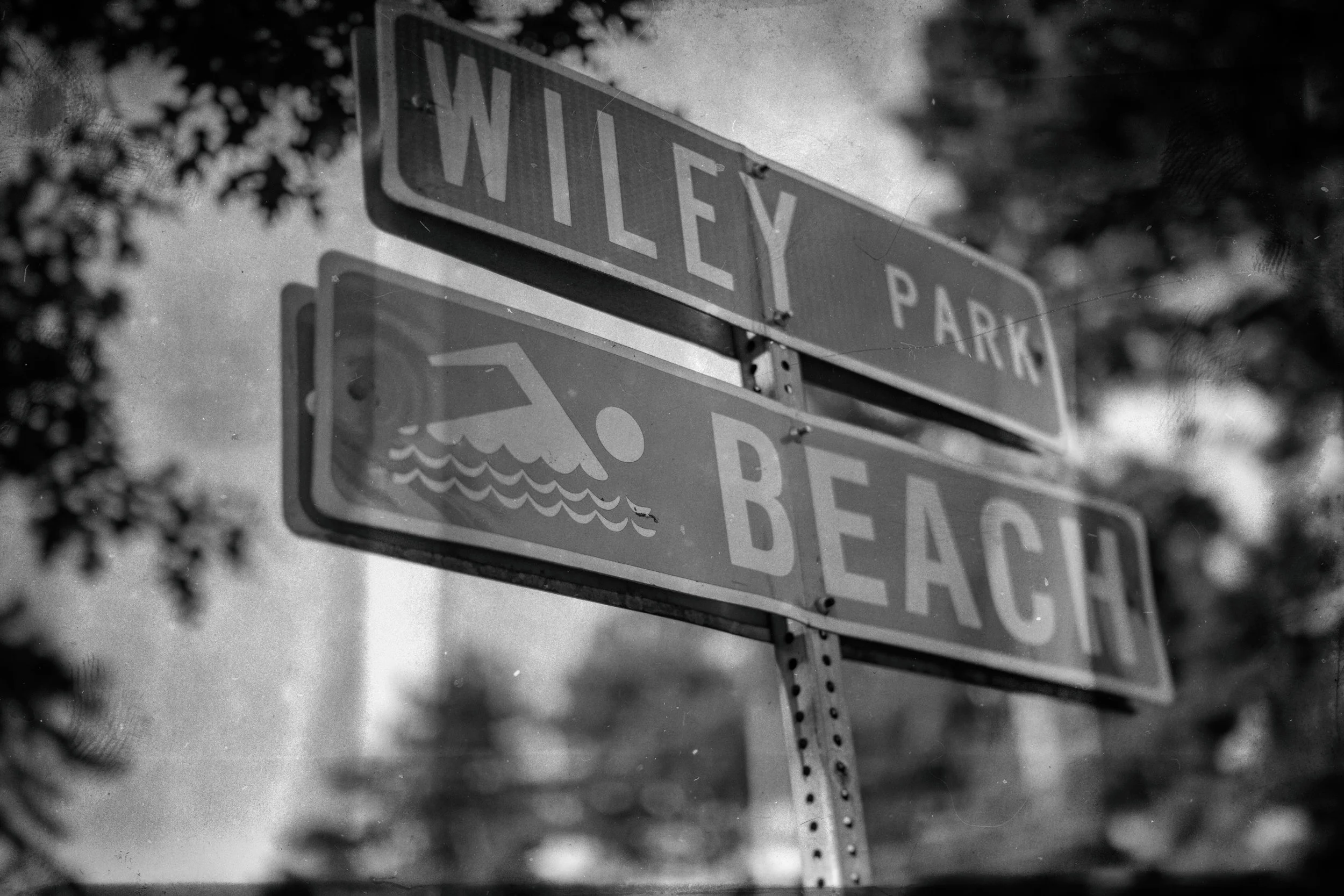 Cape Cod 2018 tif-13.jpg