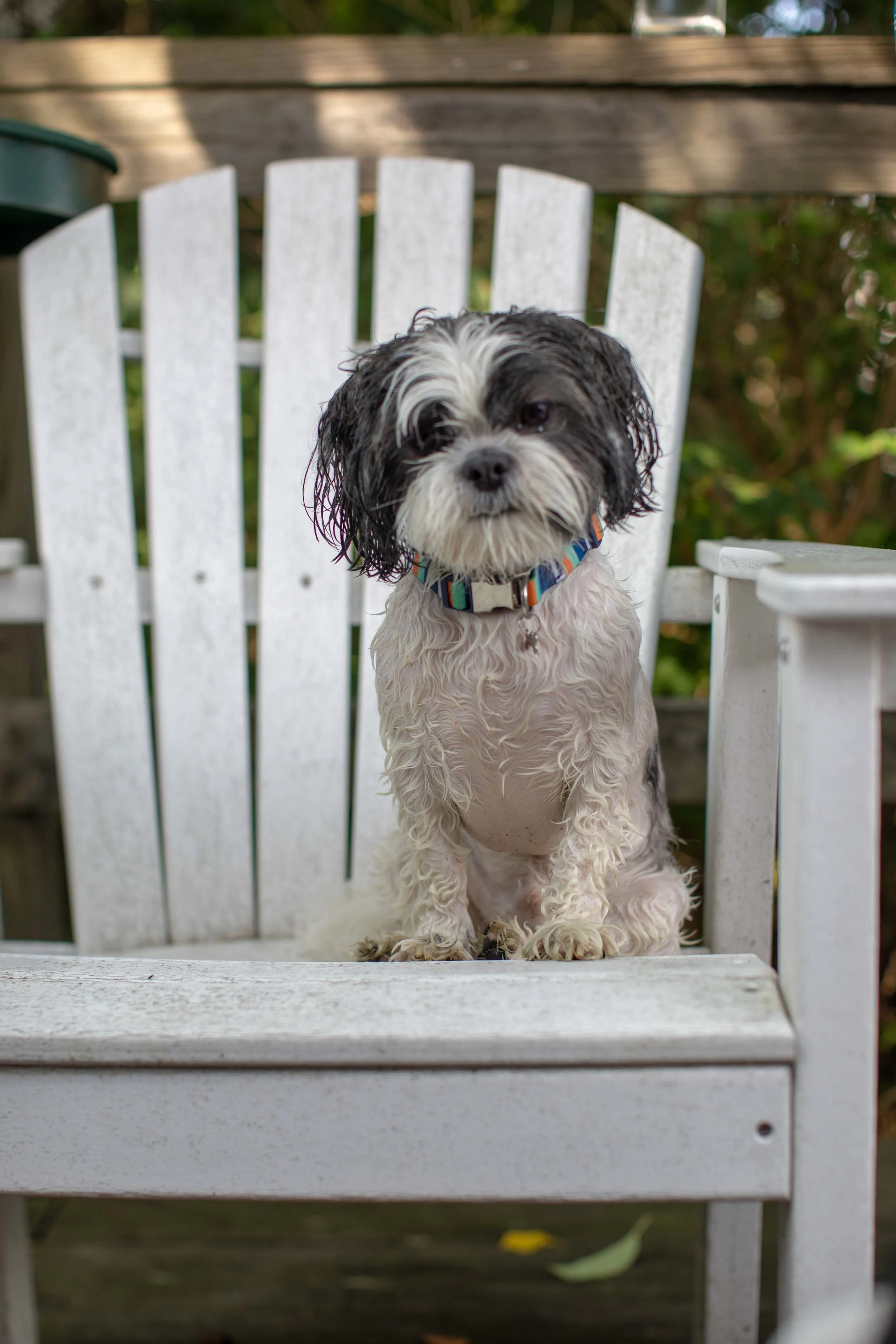 Cape Cod 2018-10.jpg