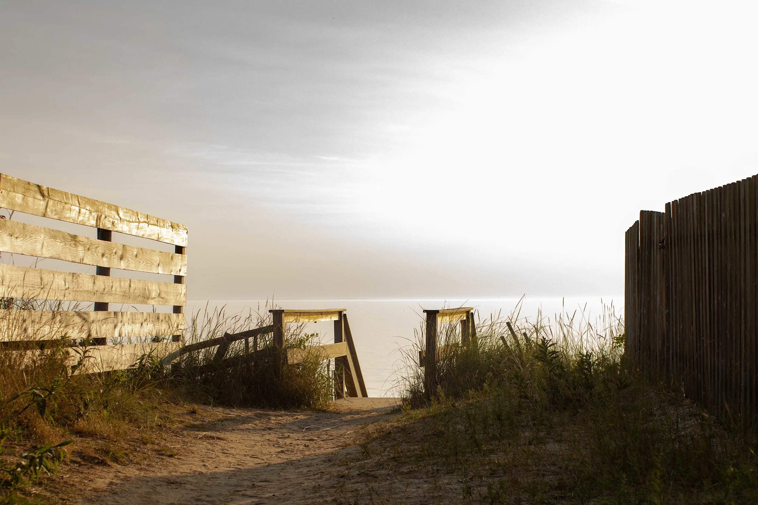 Cape Cod 2018-16.jpg