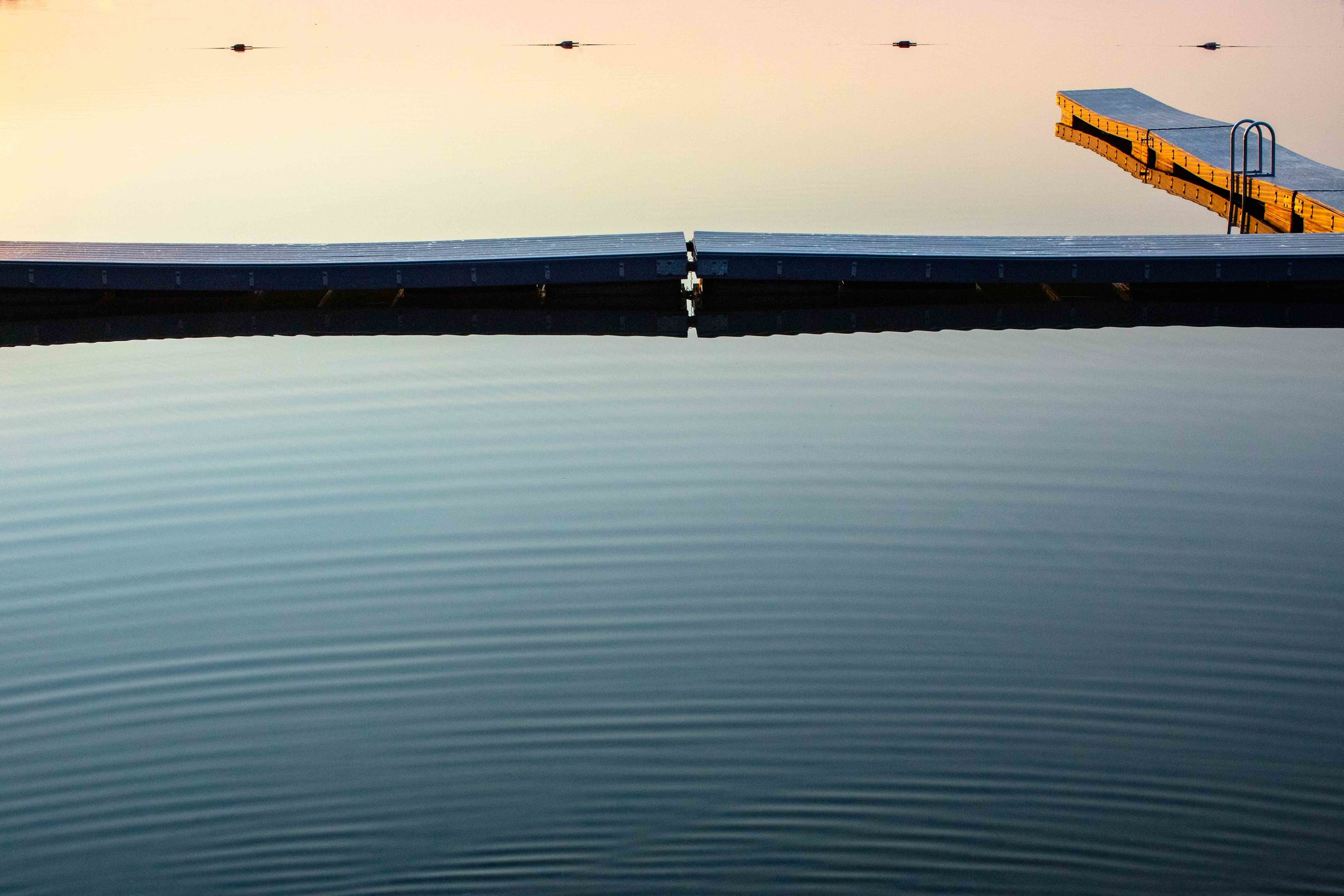 Cape Cod 2018-42.jpg