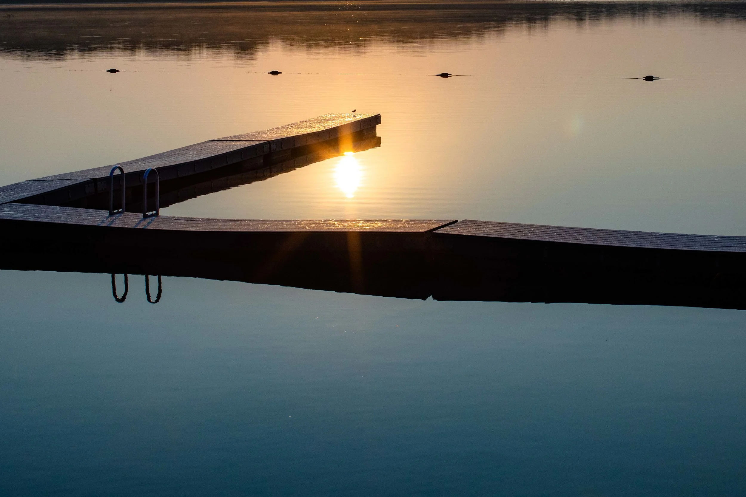 Cape Cod 2018-50.jpg