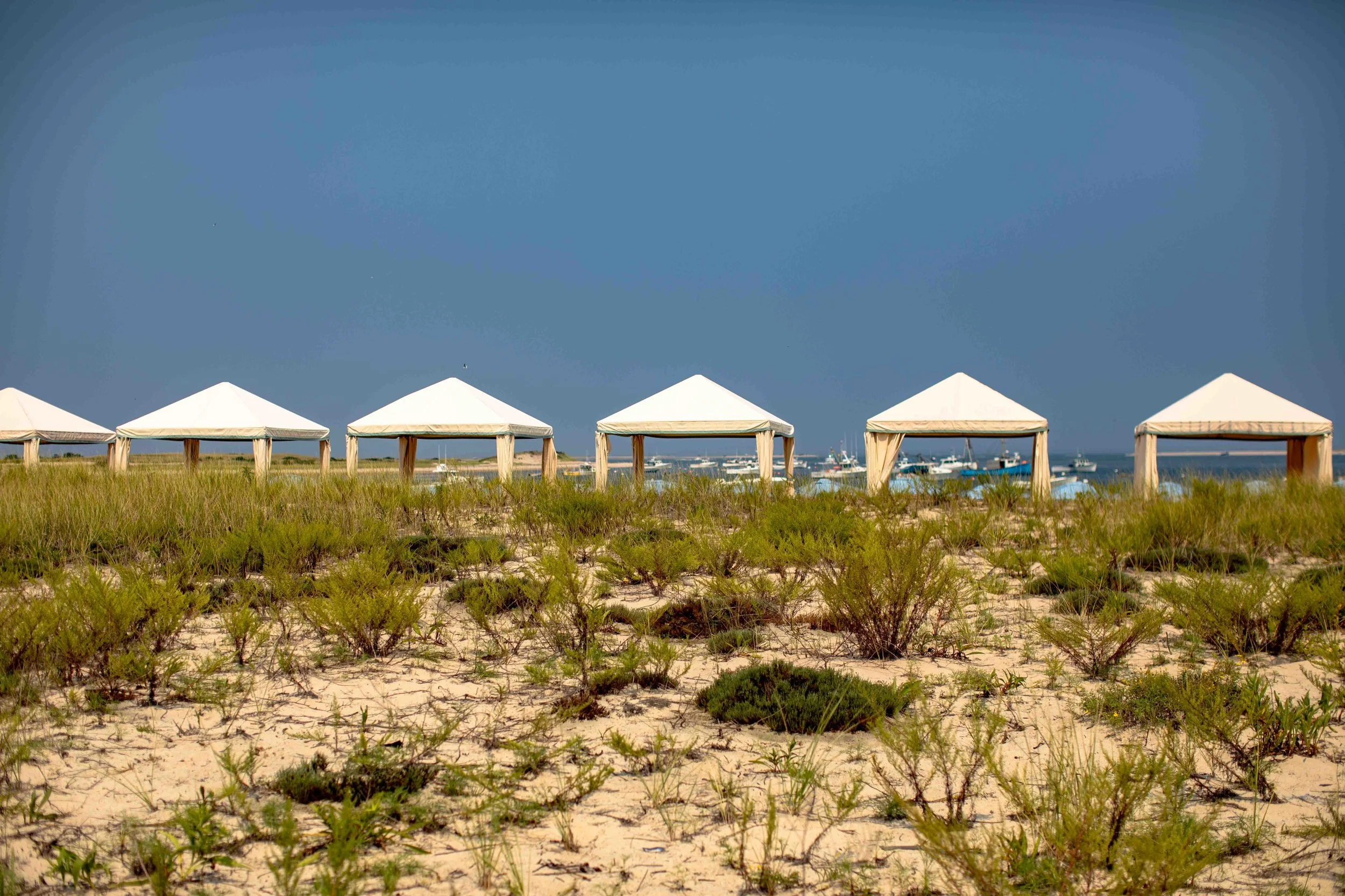 Cape Cod 2018-201.jpg