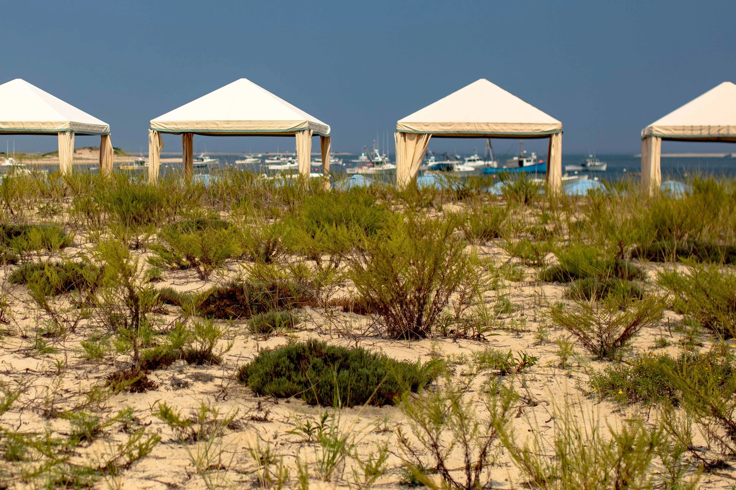 Cape Cod 2018-202.jpg