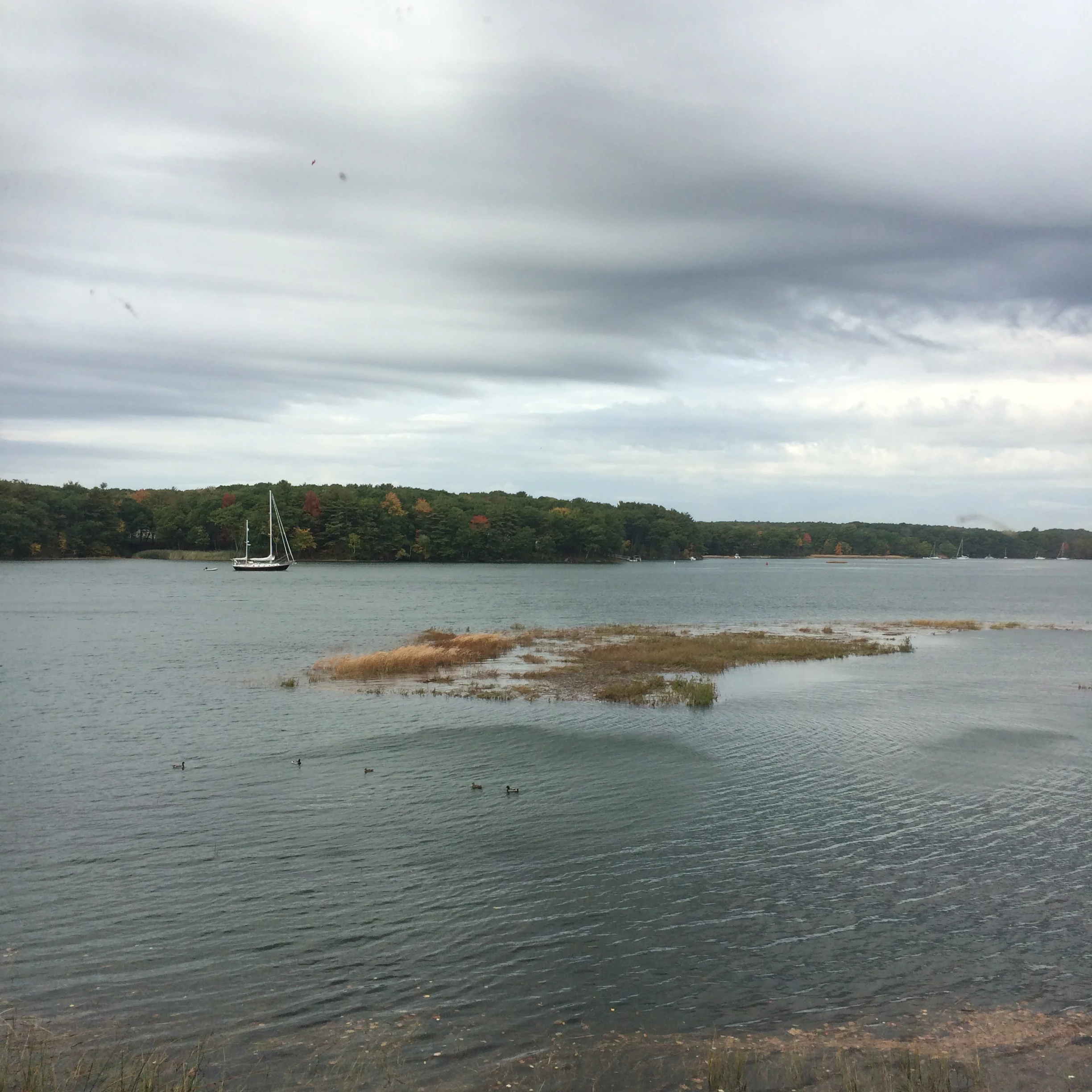 Sailboat on river 1.JPG