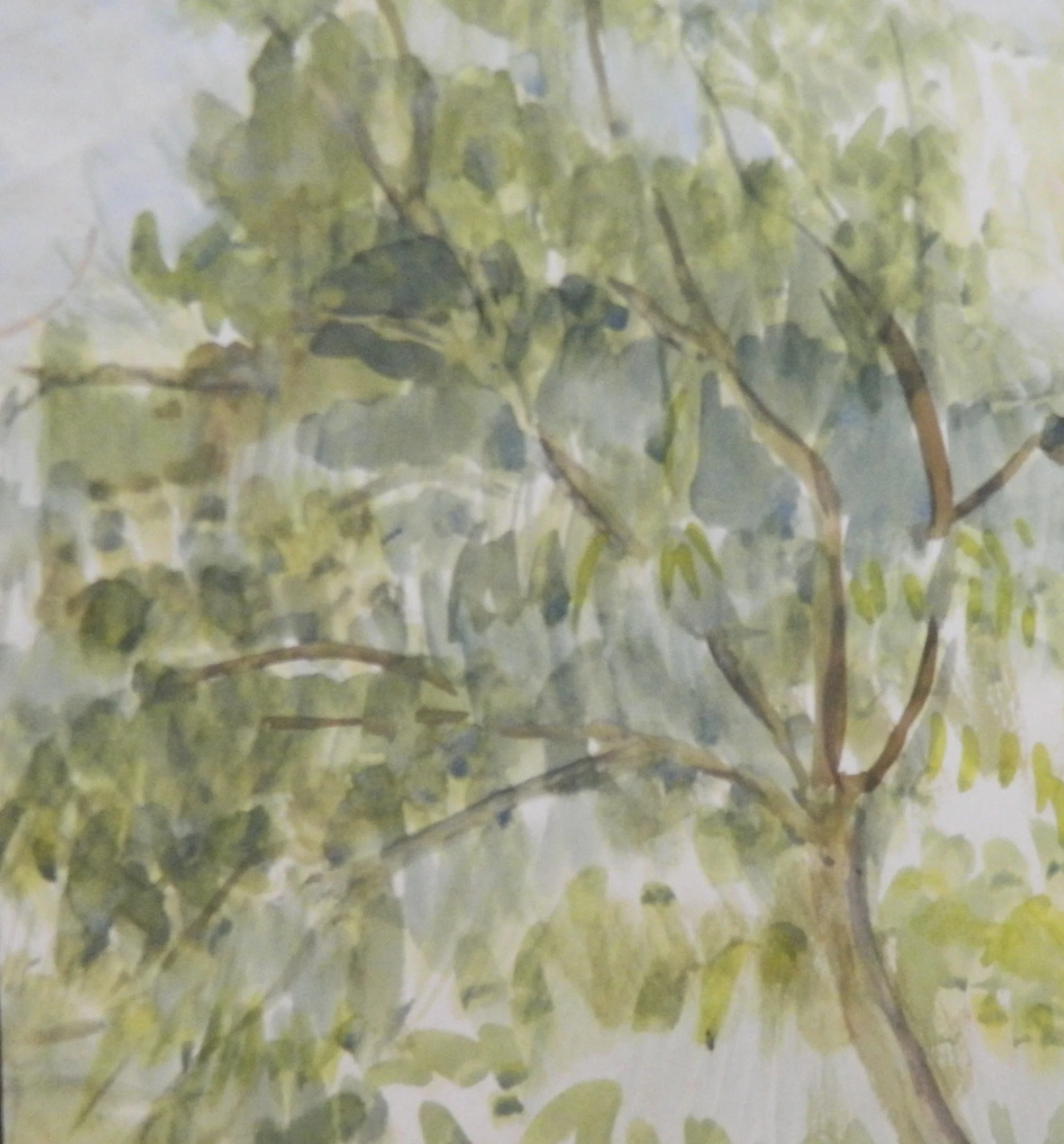DSCN3023.JPG