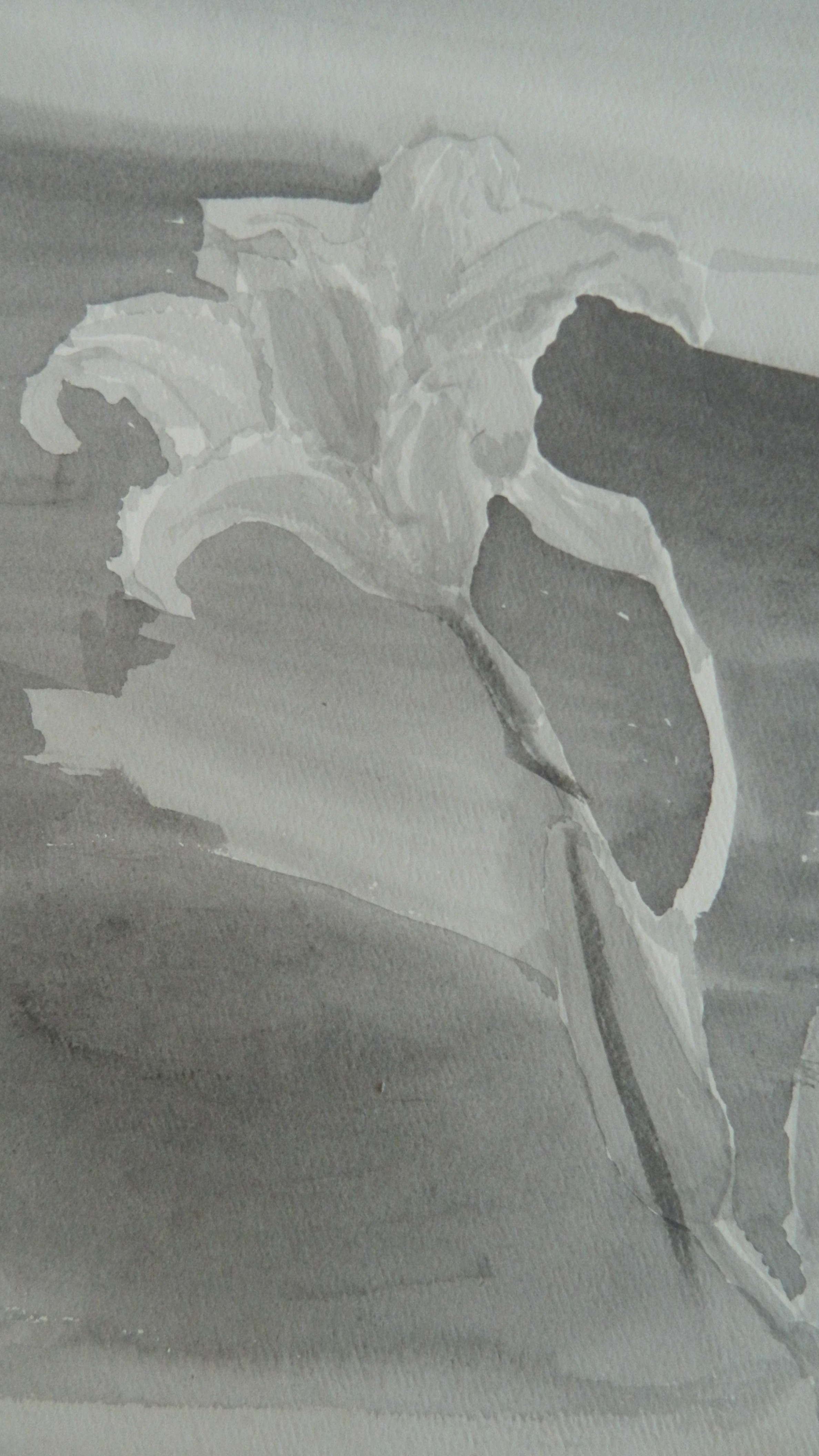 DSCN3087.JPG