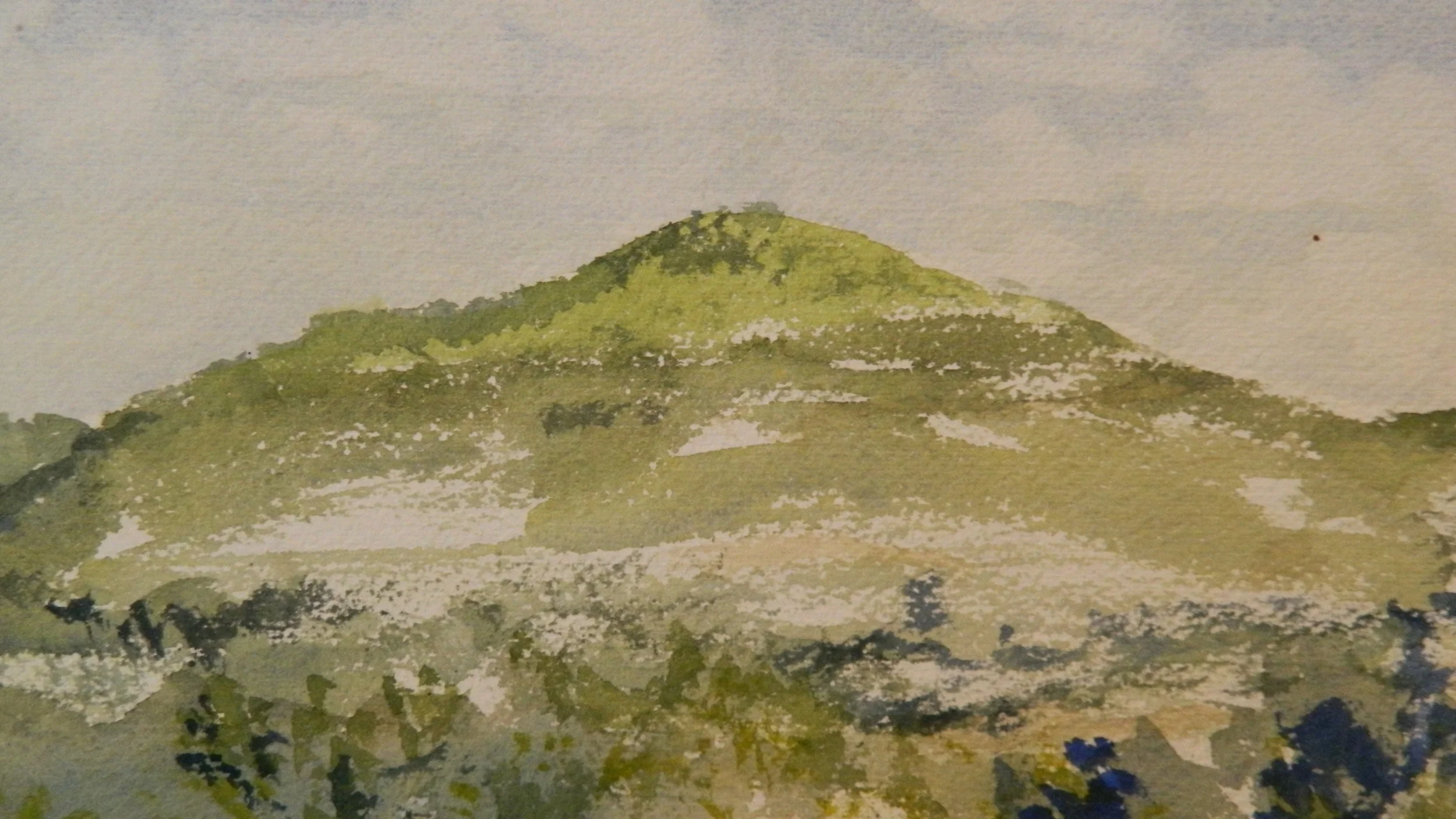 DSCN3117.JPG