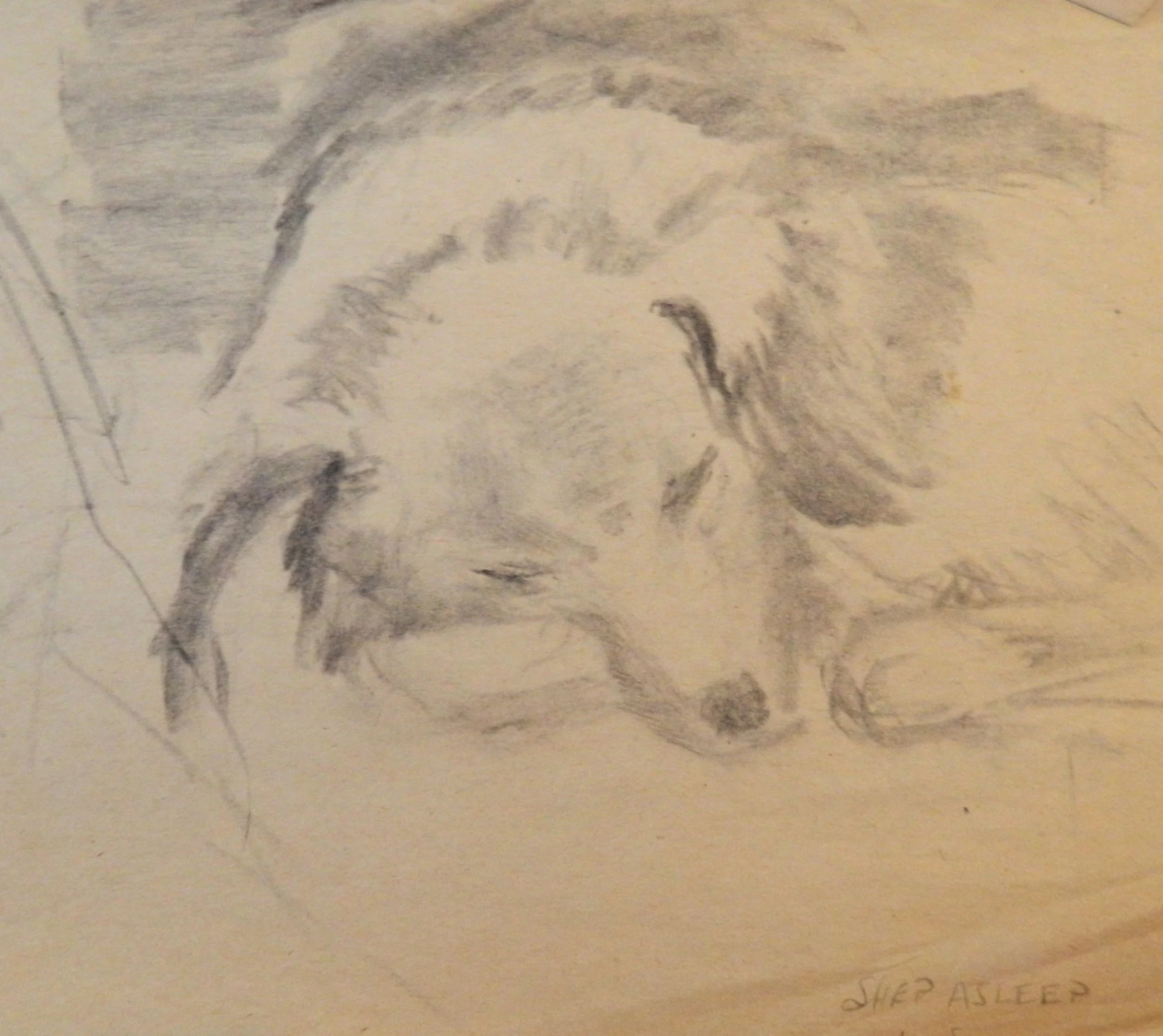 DSCN3120.JPG