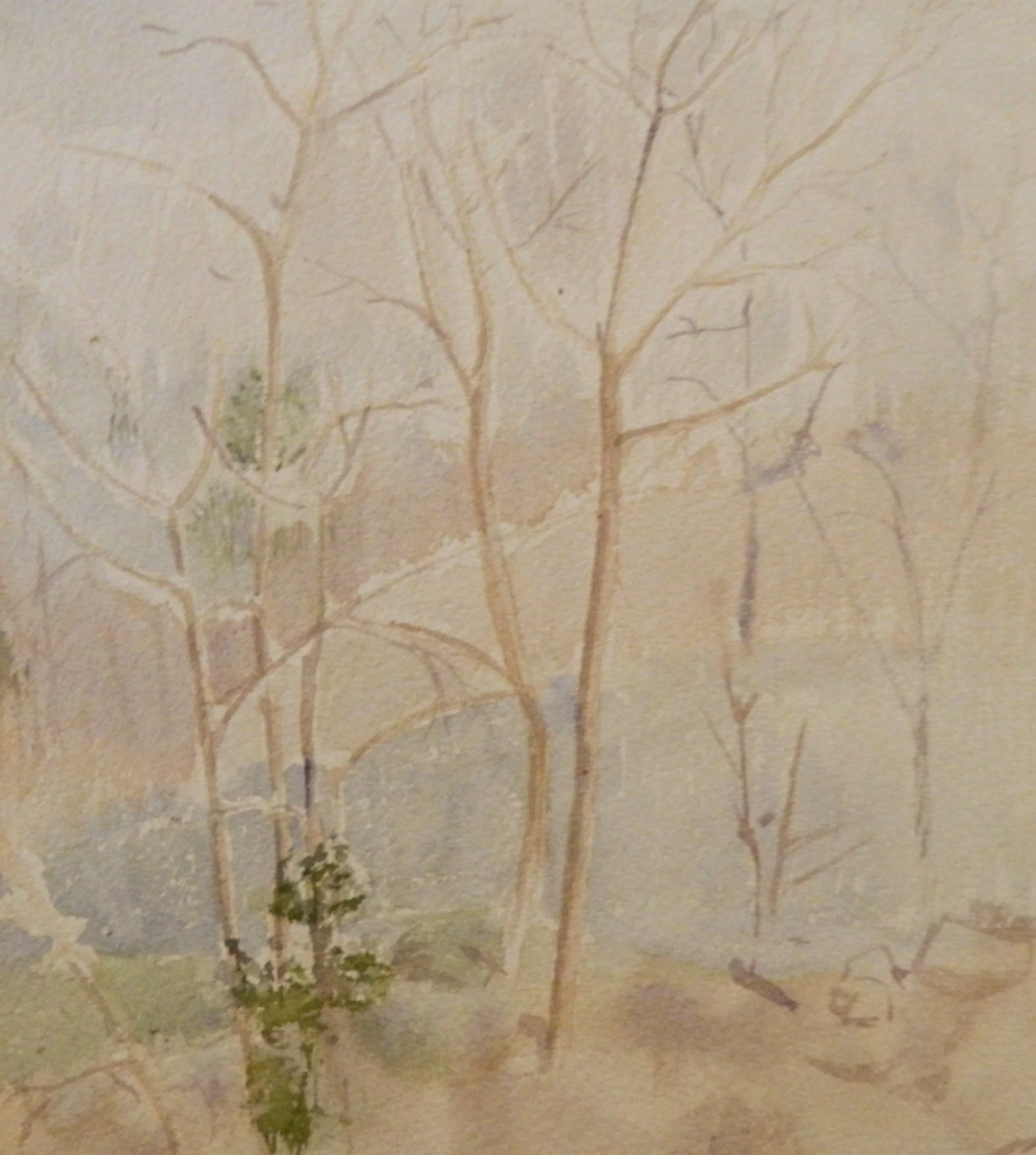DSCN3163.JPG