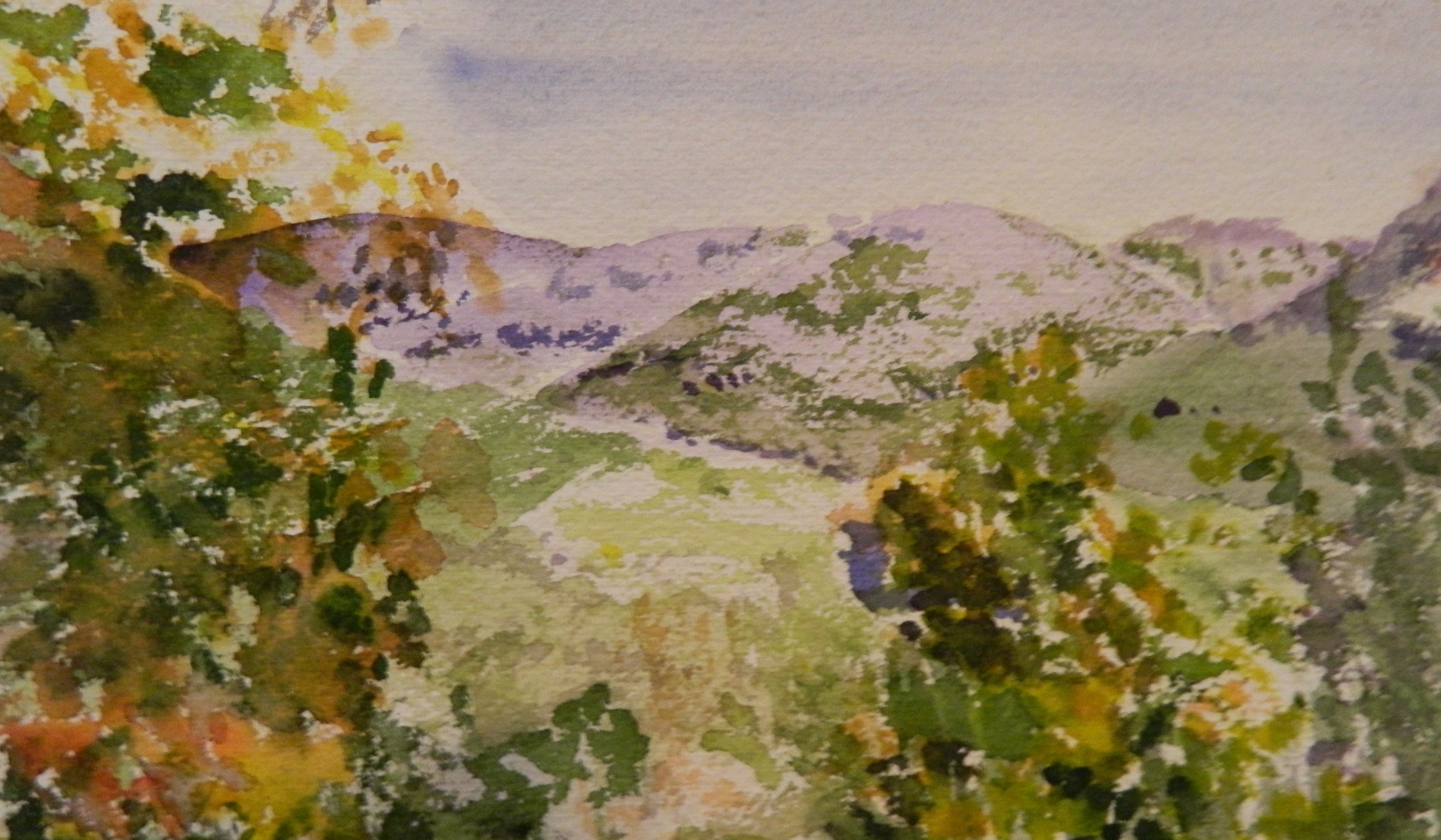 DSCN3201.JPG