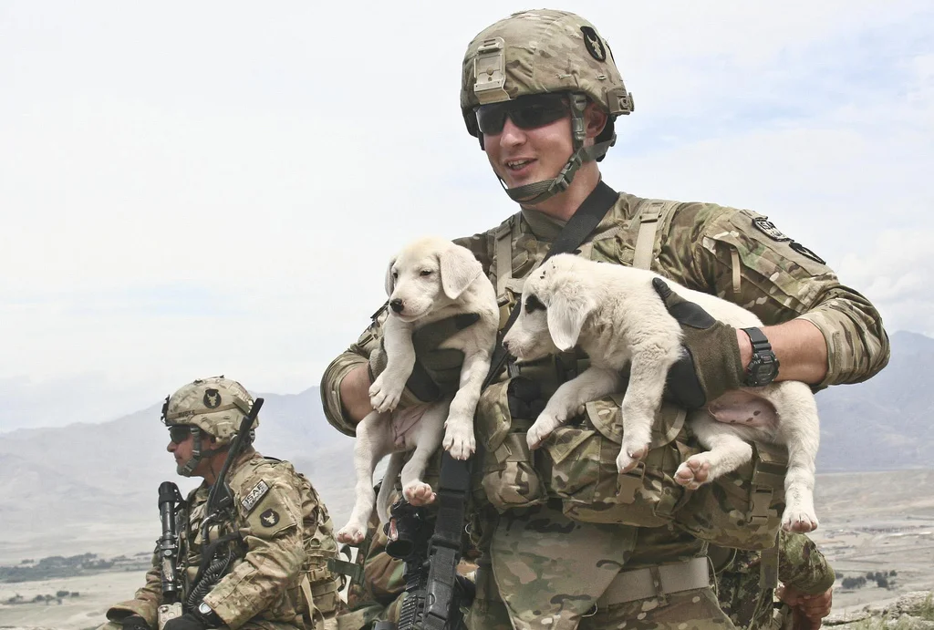 Photo Credit: The U.S. Army via photopin cc