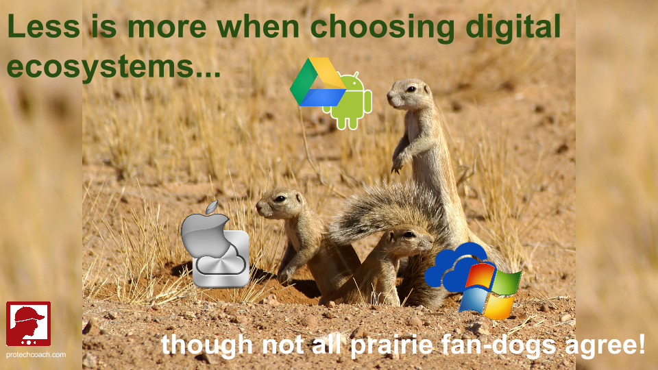 Less is more when choosing digital ecosystems.png