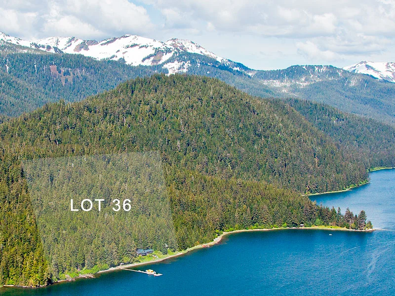 Lot-36---Correct.jpg
