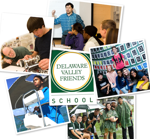 DVSFcollageForWeb.png
