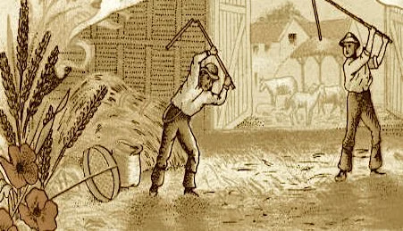 2 men in barn threshing wheat