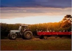 tractor with hayride folks
